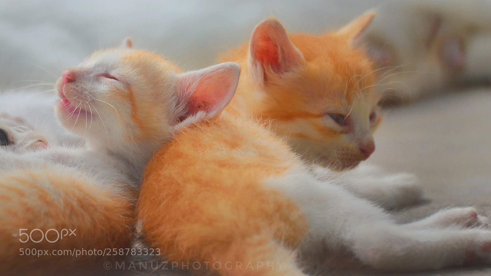 Nikon D5100 sample photo. Rest....weekend is gona end photography