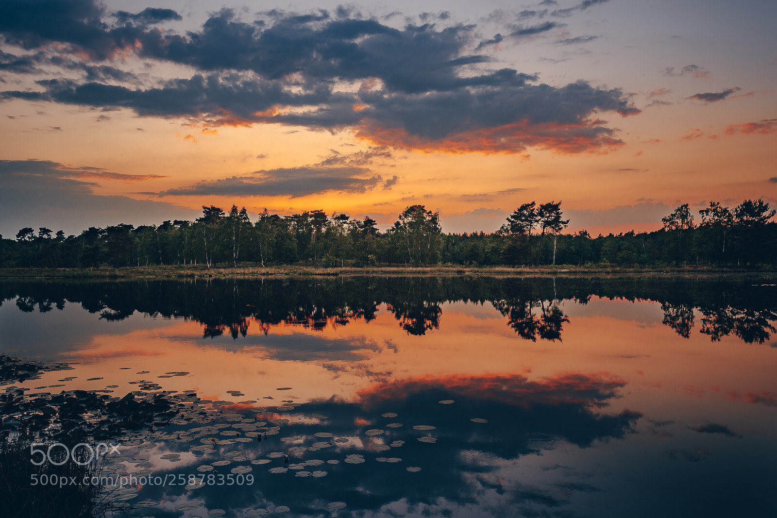 Nikon D500 sample photo. Sunday sunset photography