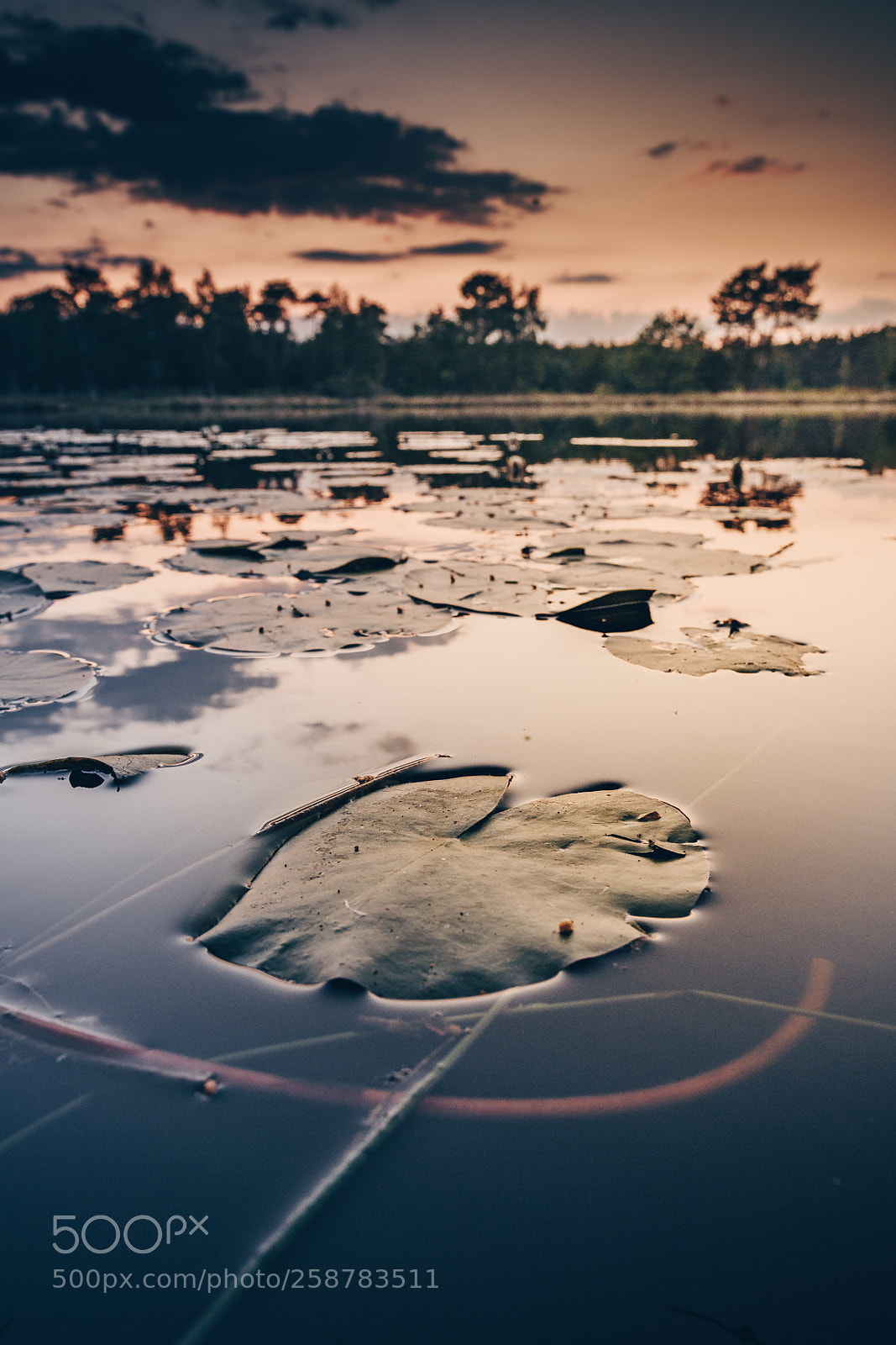 Nikon D500 sample photo. Sunday sunset photography