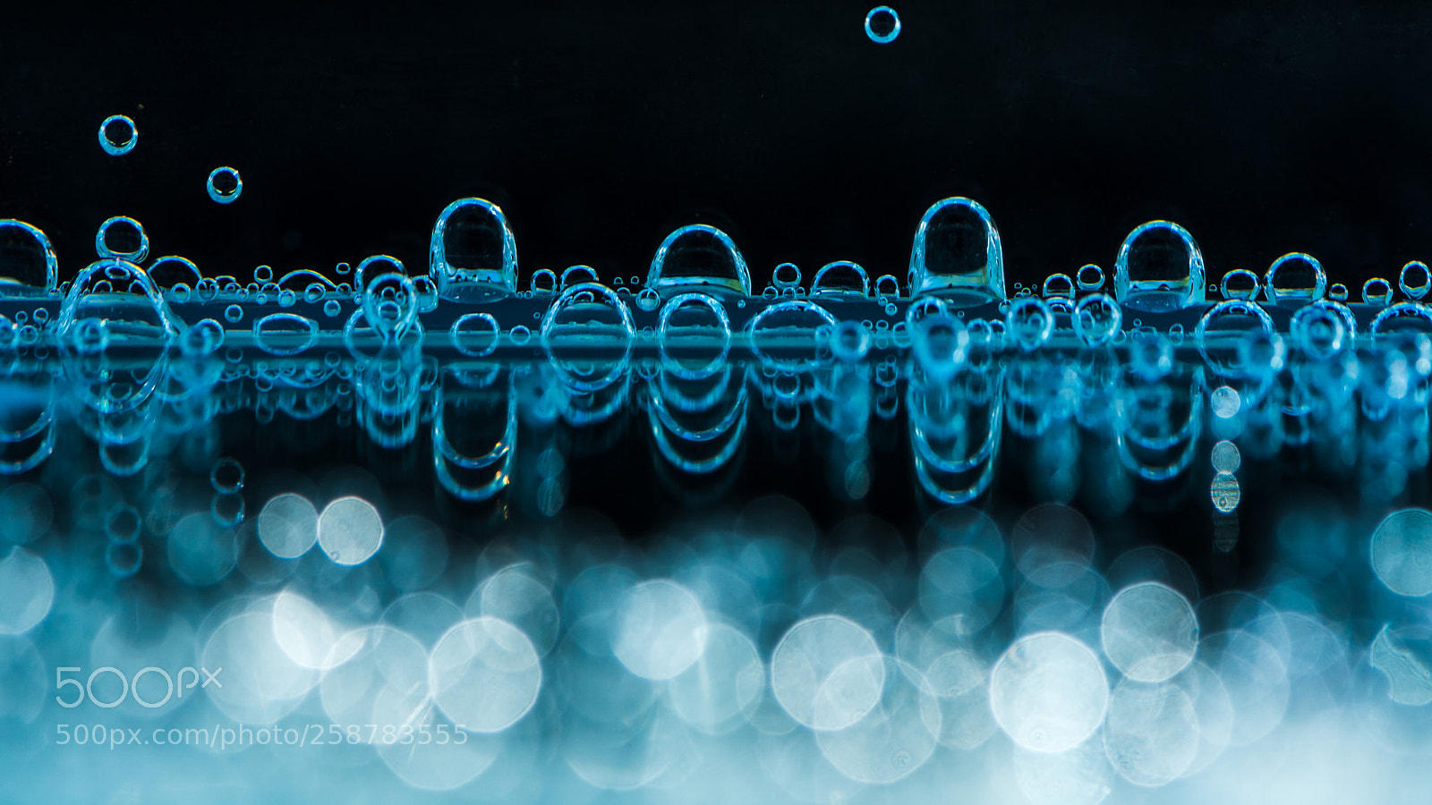 Nikon D750 sample photo. Bubbles photography
