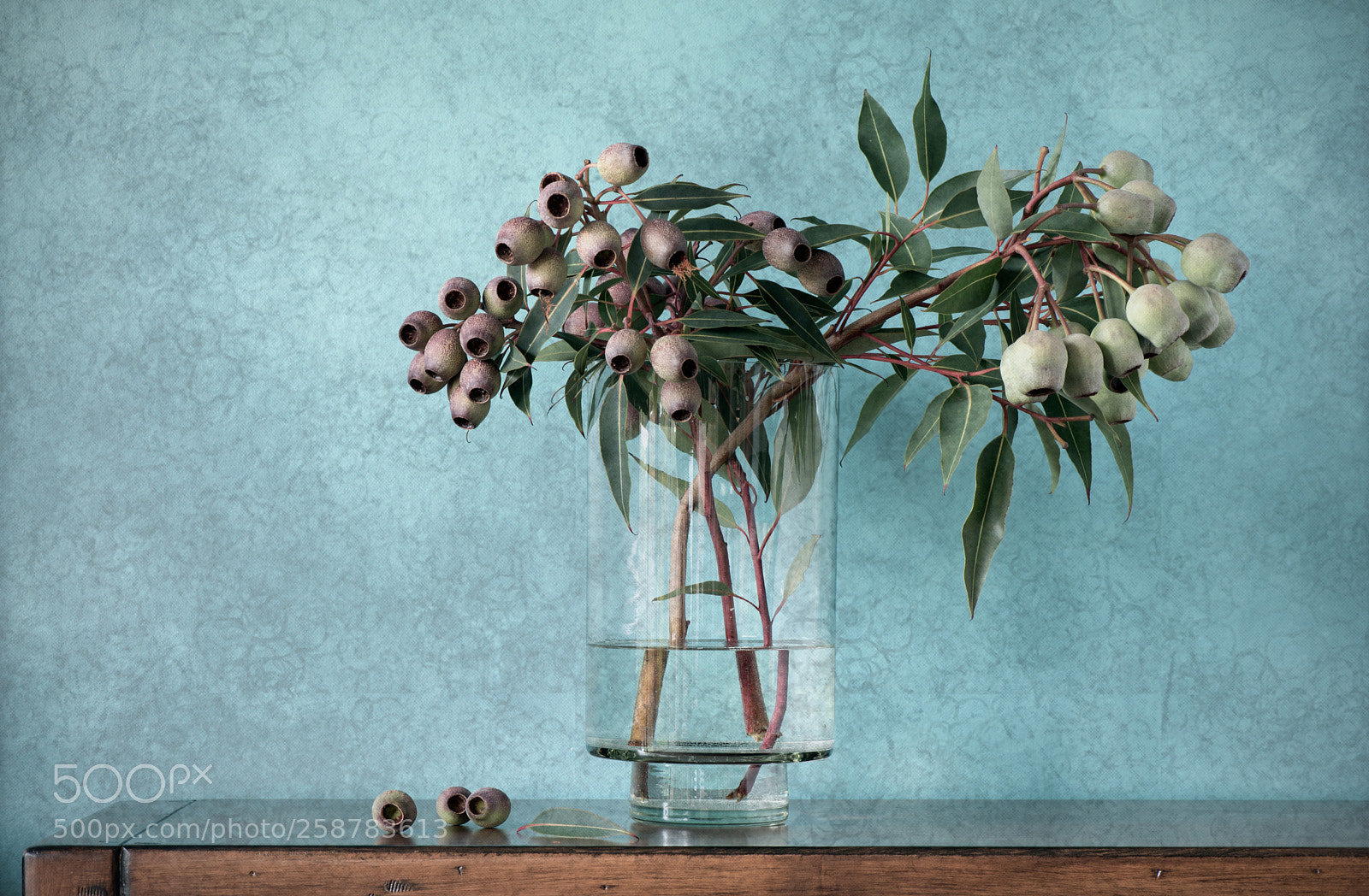 Nikon D750 sample photo. Vase of gumnuts photography