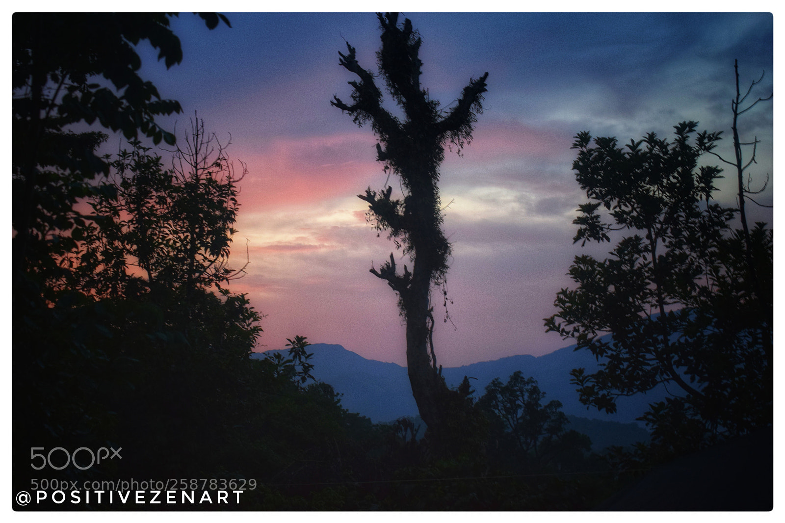 Nikon D3300 sample photo. Evening colorful play in photography