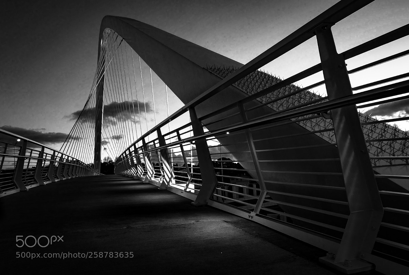 Nikon D5500 sample photo. The walk bridge photography