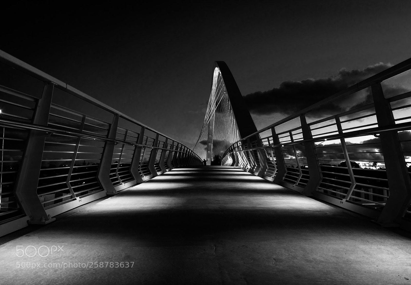Nikon D5500 sample photo. The walk bridge photography
