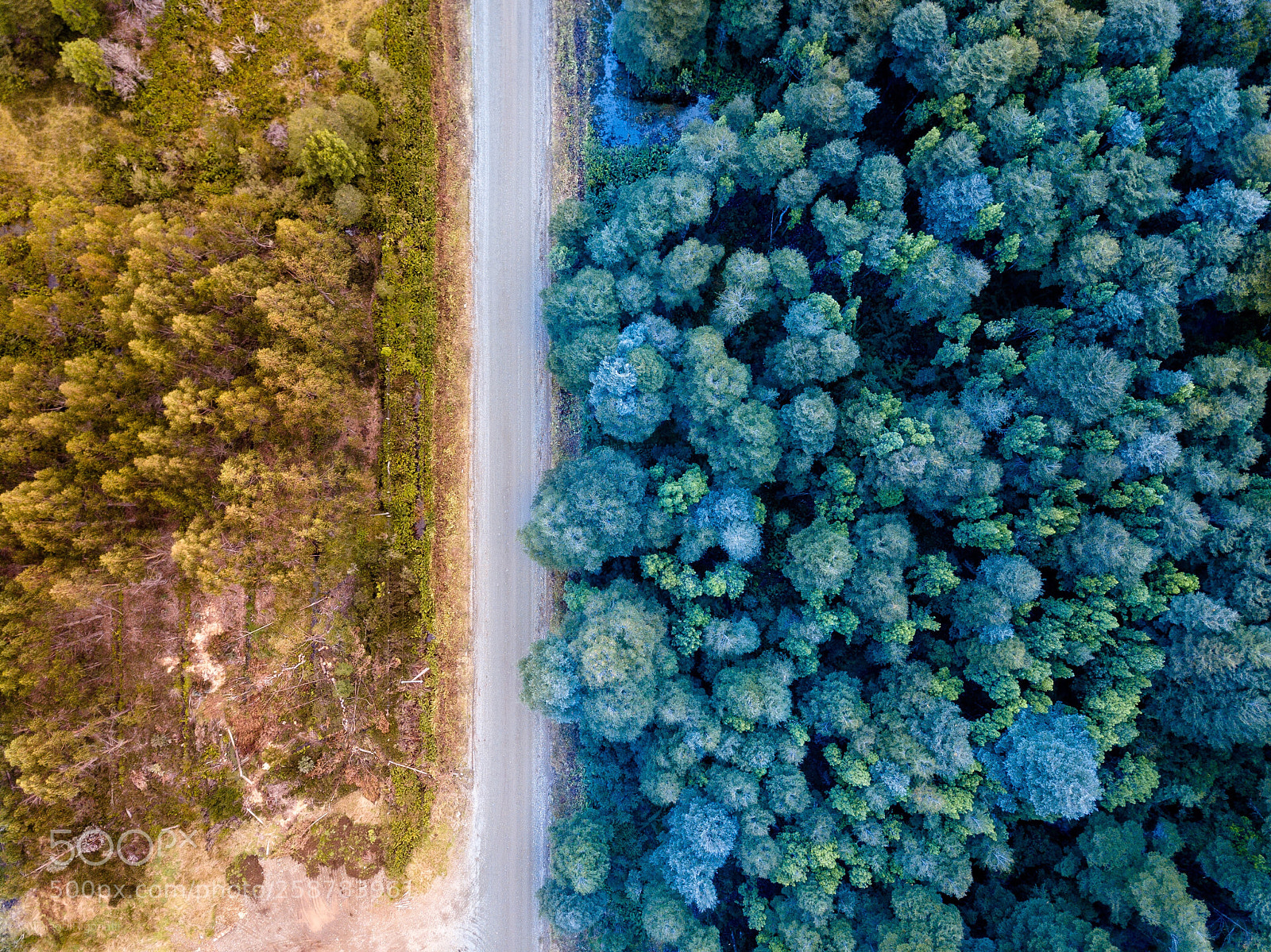 DJI FC220 sample photo. Untitled photography