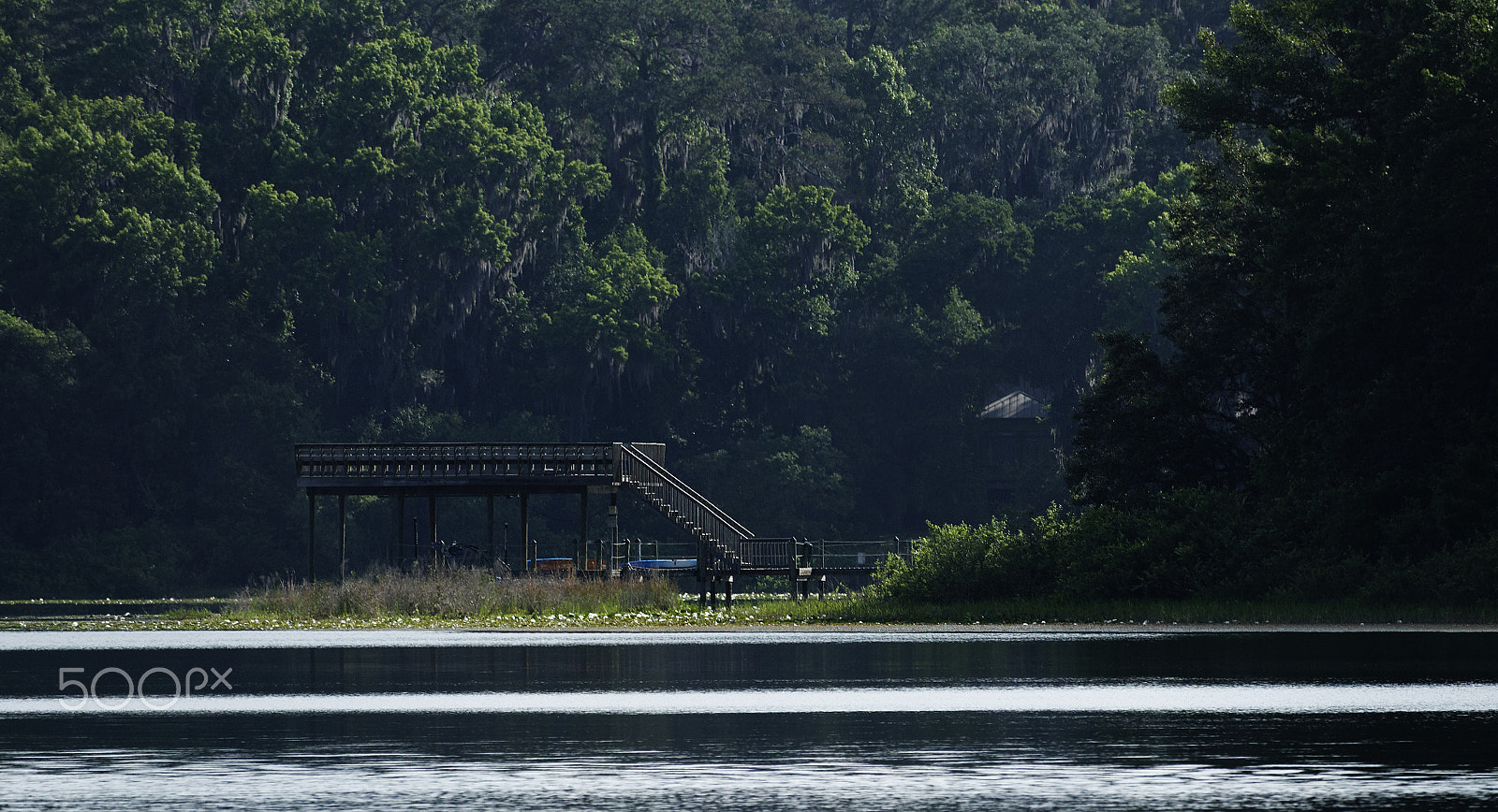 Canon EF-S 55-250mm F4-5.6 IS STM sample photo. The pier and the forest photography