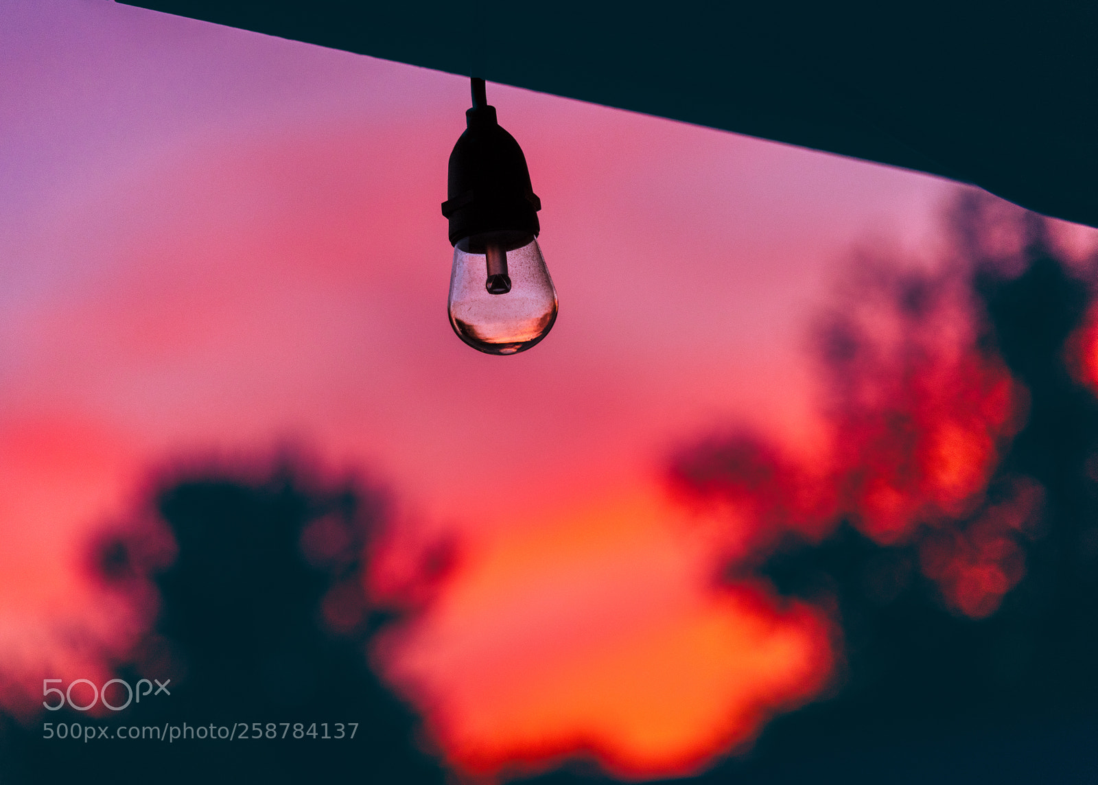 Nikon D850 sample photo. Sunset lighting photography