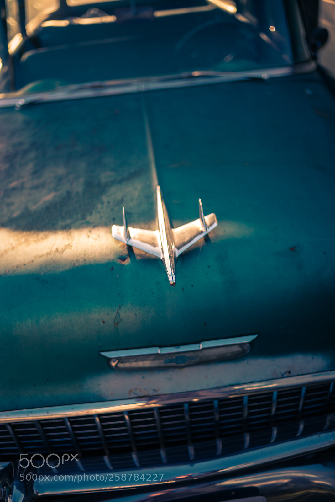Leica M (Typ 240) sample photo. L photography