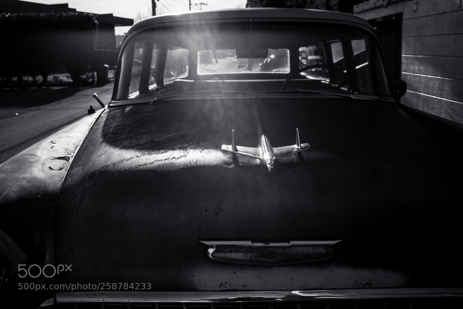 Leica M (Typ 240) sample photo. L1001956-2.jpg photography