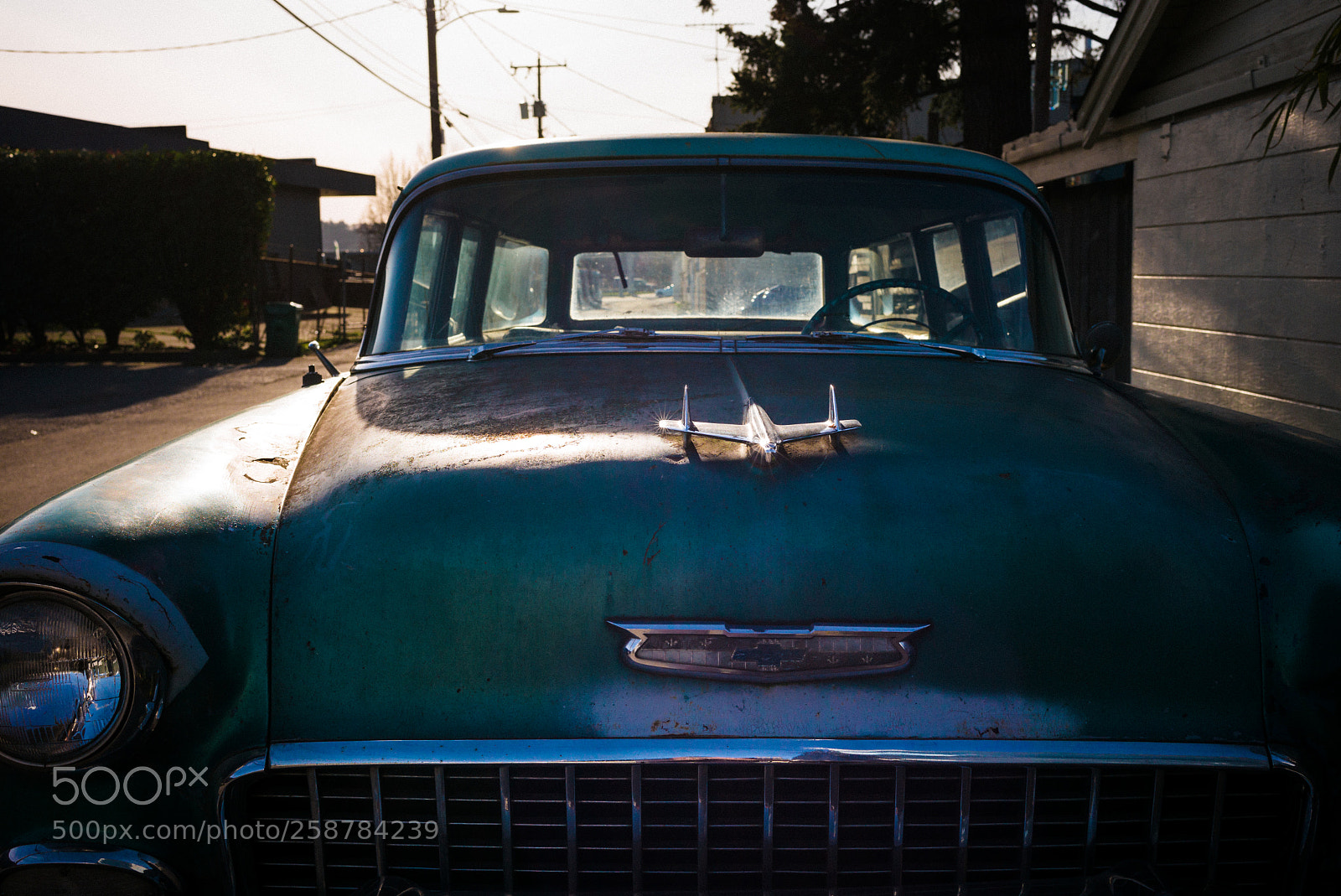 Leica M (Typ 240) sample photo. L1001957-2.jpg photography
