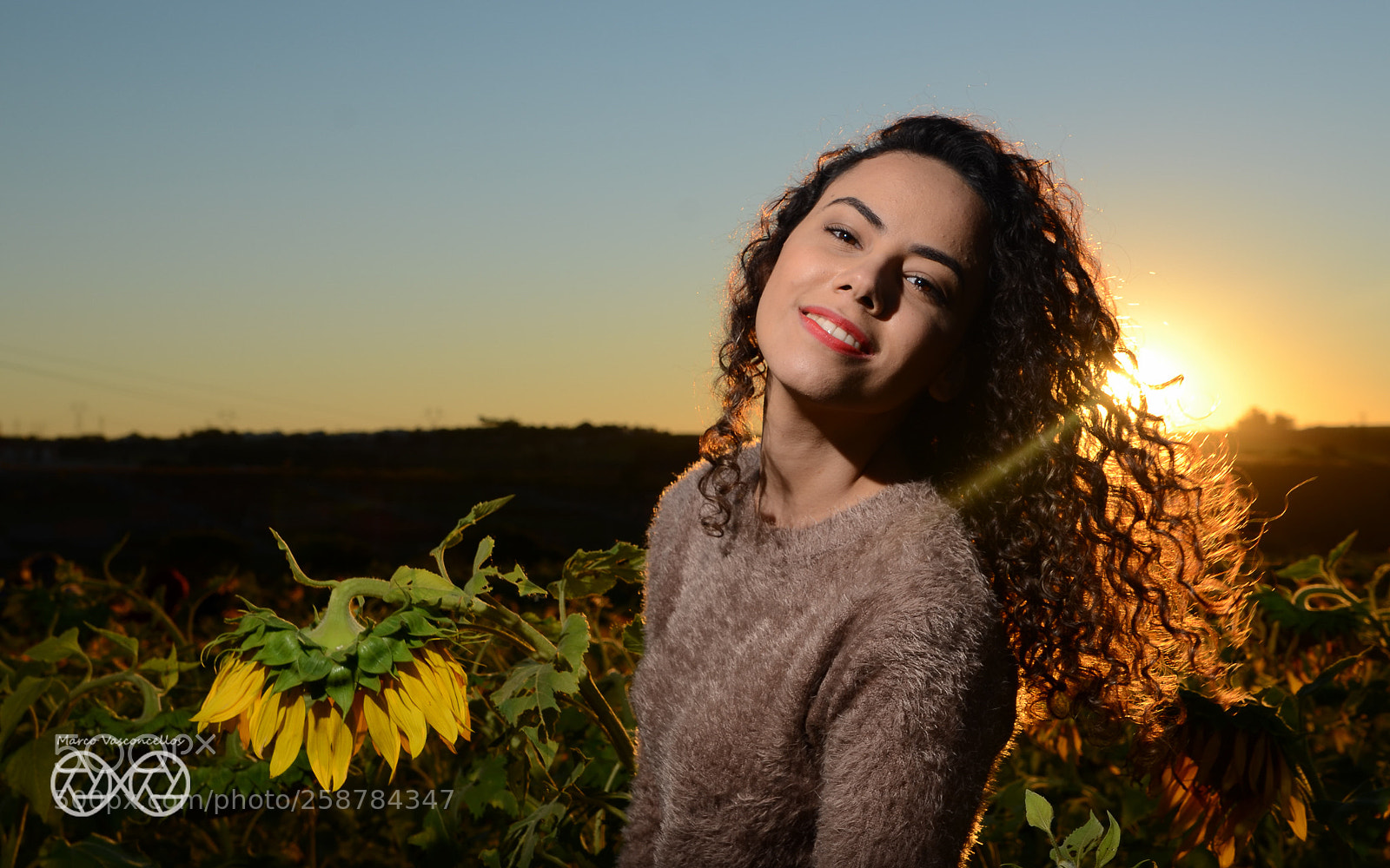 Nikon D7000 sample photo. Campo de girassóis photography