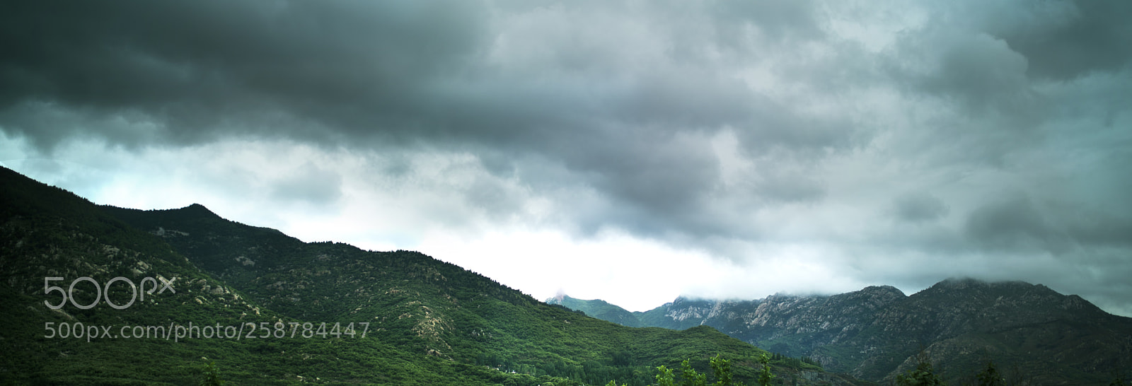 Canon EOS 6D Mark II sample photo. Untitled photography