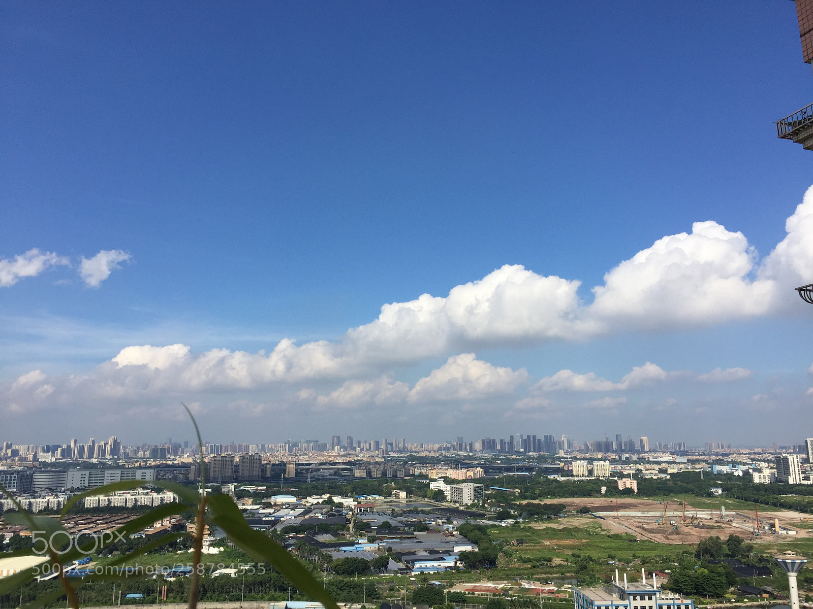 Apple iPhone 6 Plus sample photo. 小?️日的朝阳 photography