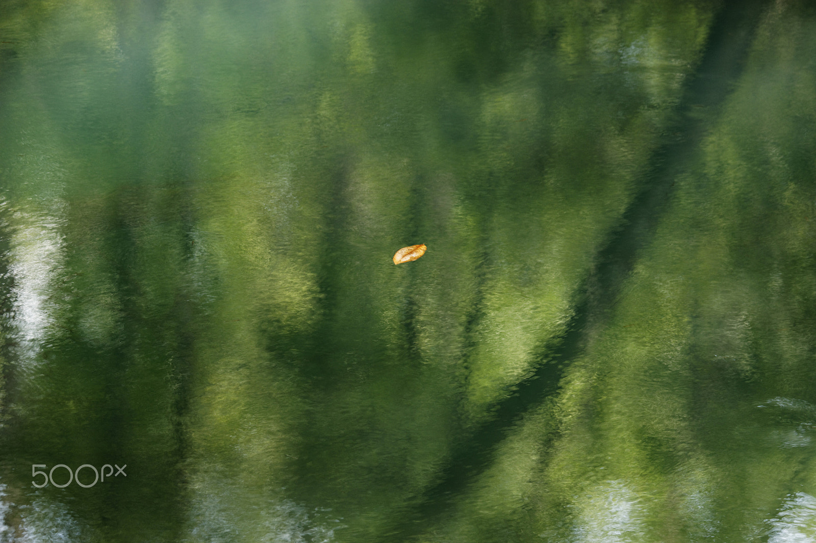Canon EF-S 55-250mm F4-5.6 IS STM sample photo. Strange and beautiful voyage photography