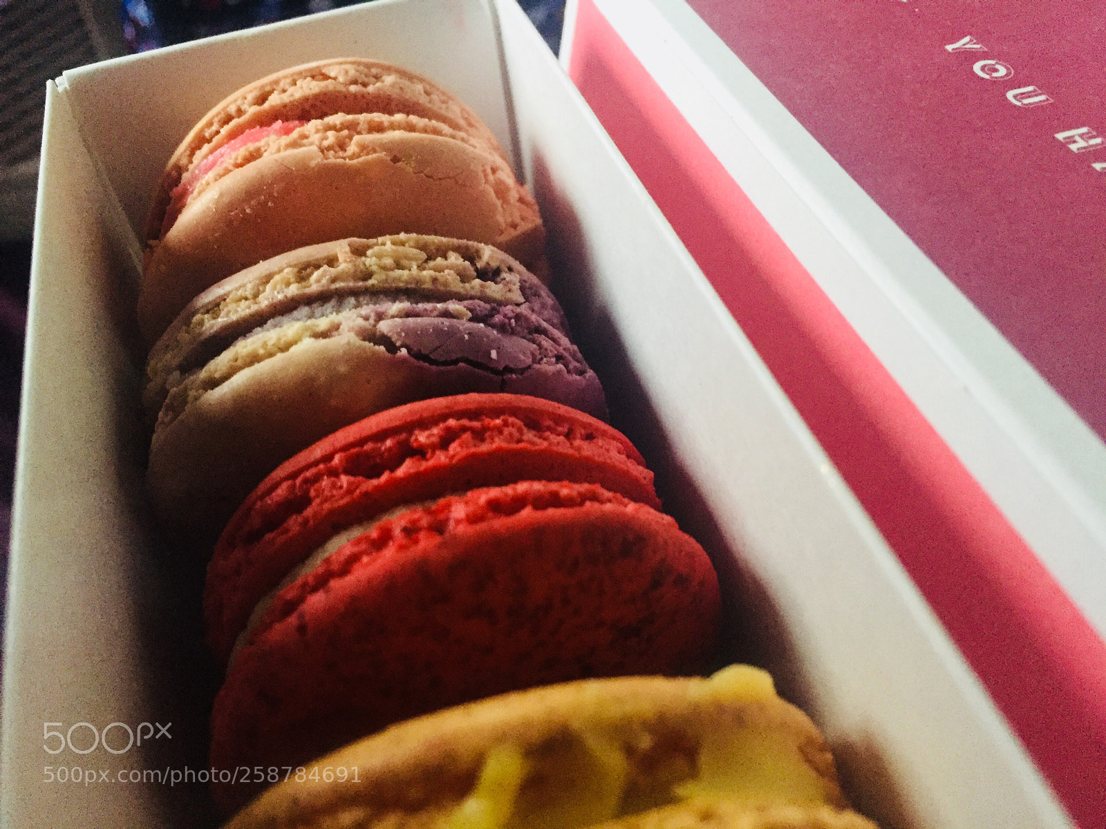Apple iPhone 6 sample photo. Untitled photography