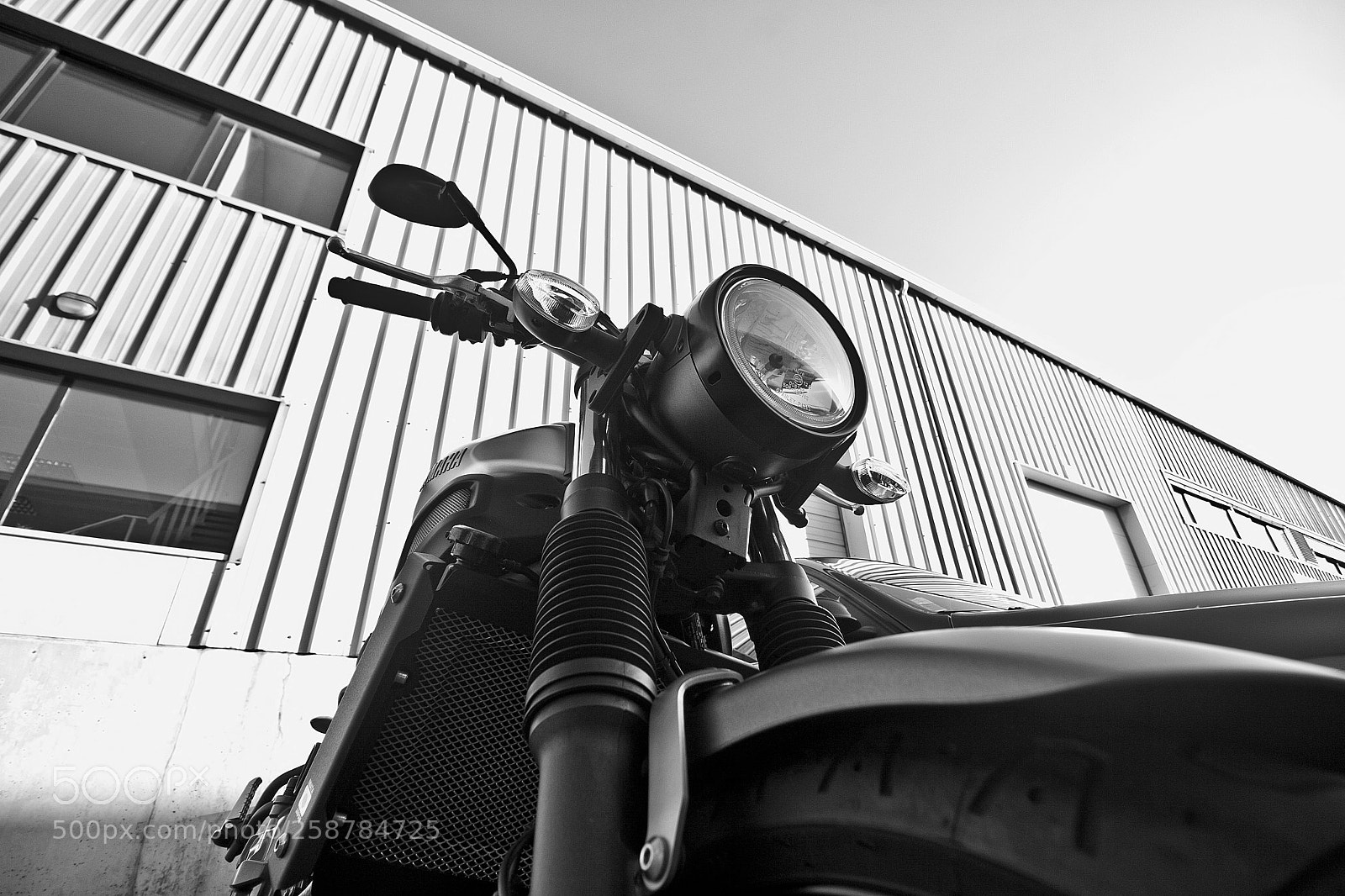 Canon EOS 30D sample photo. The black horse photography