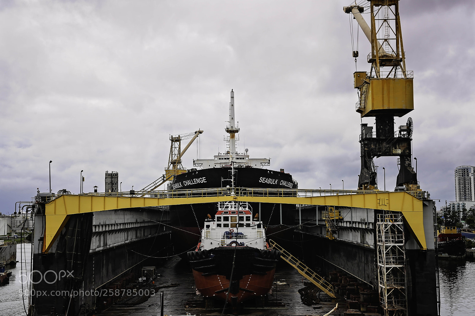 Canon EOS-1D X Mark II sample photo. Channel side tampa photography
