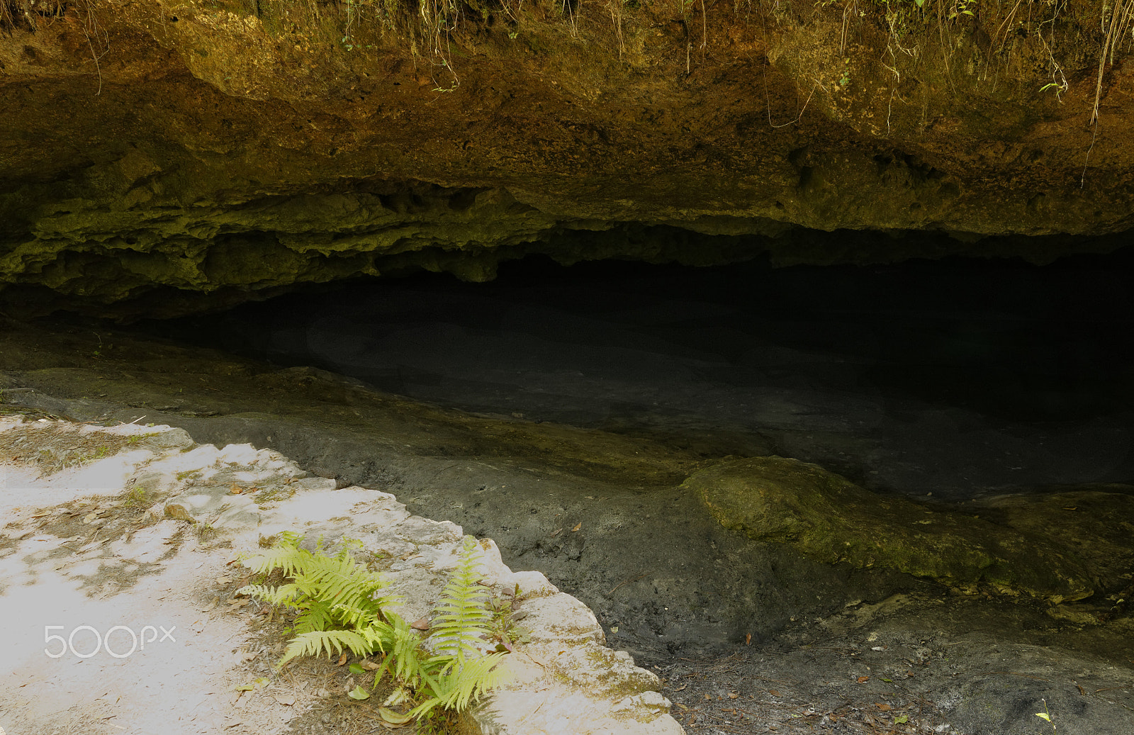 Canon EOS 1200D (EOS Rebel T5 / EOS Kiss X70 / EOS Hi) sample photo. Entrance to the world beneath photography
