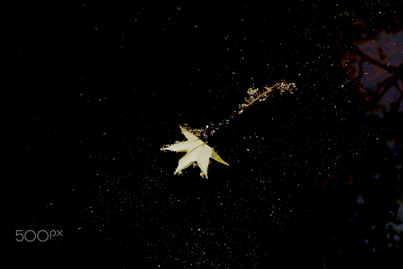 Canon EOS 1200D (EOS Rebel T5 / EOS Kiss X70 / EOS Hi) sample photo. Leaf among stars photography