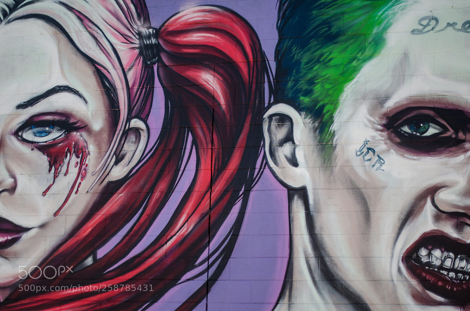 Nikon D7000 sample photo. Harley & the joker photography