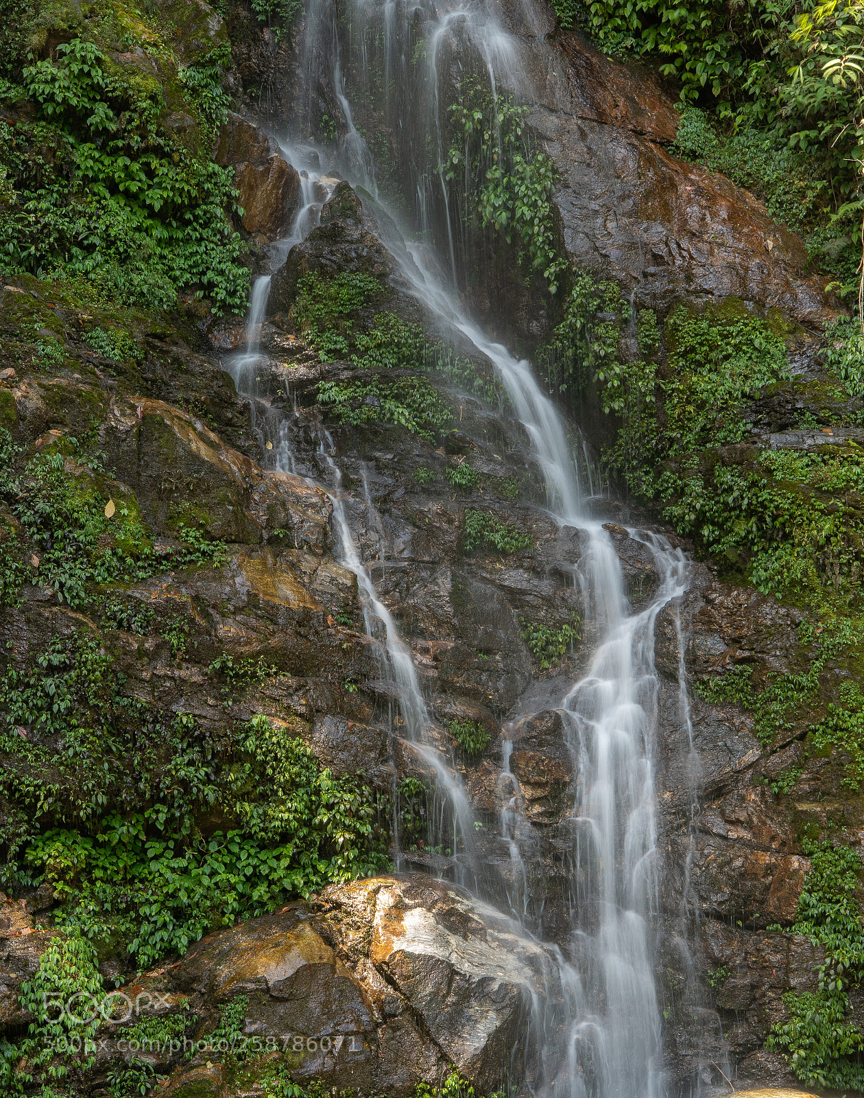 Nikon D810 sample photo. Cataract photography