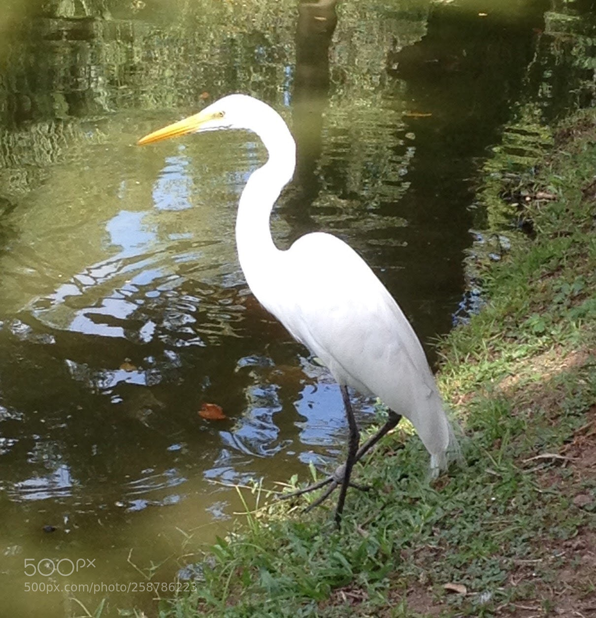 Apple iPhone 4S sample photo. Untitled photography