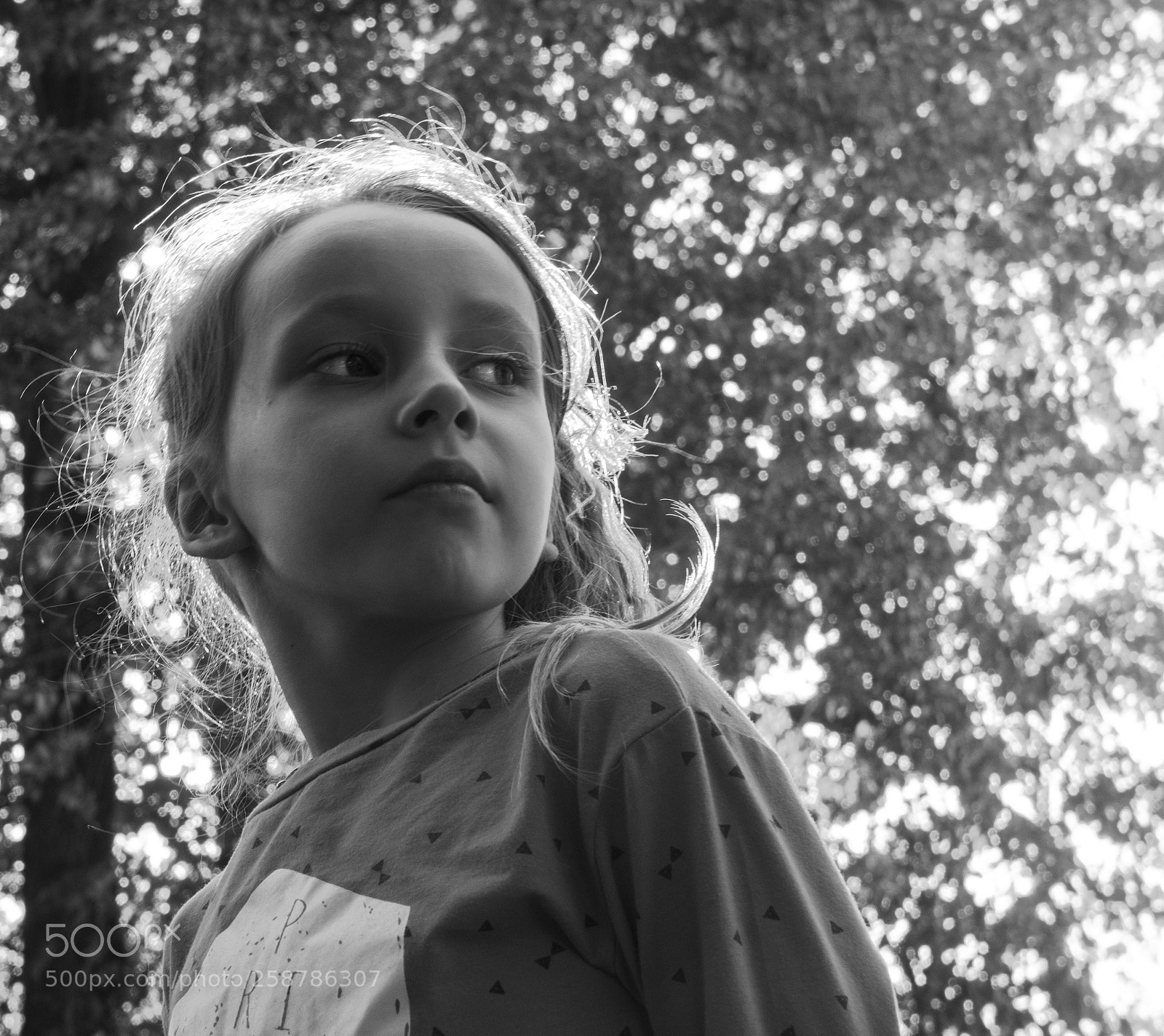 Sony a6300 sample photo. Untitled photography