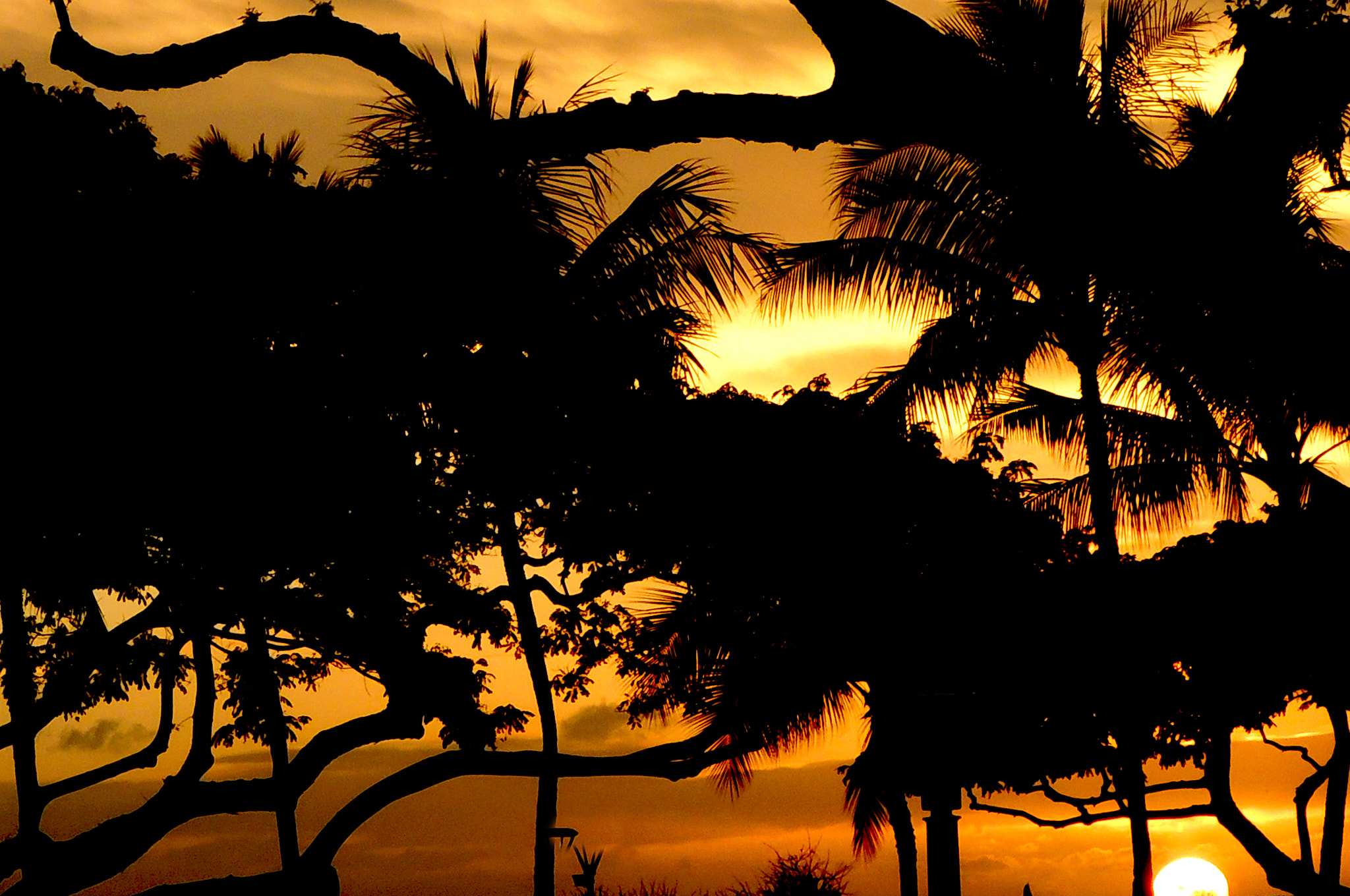 Nikon Coolpix P310 sample photo. Sunset beach hi photography