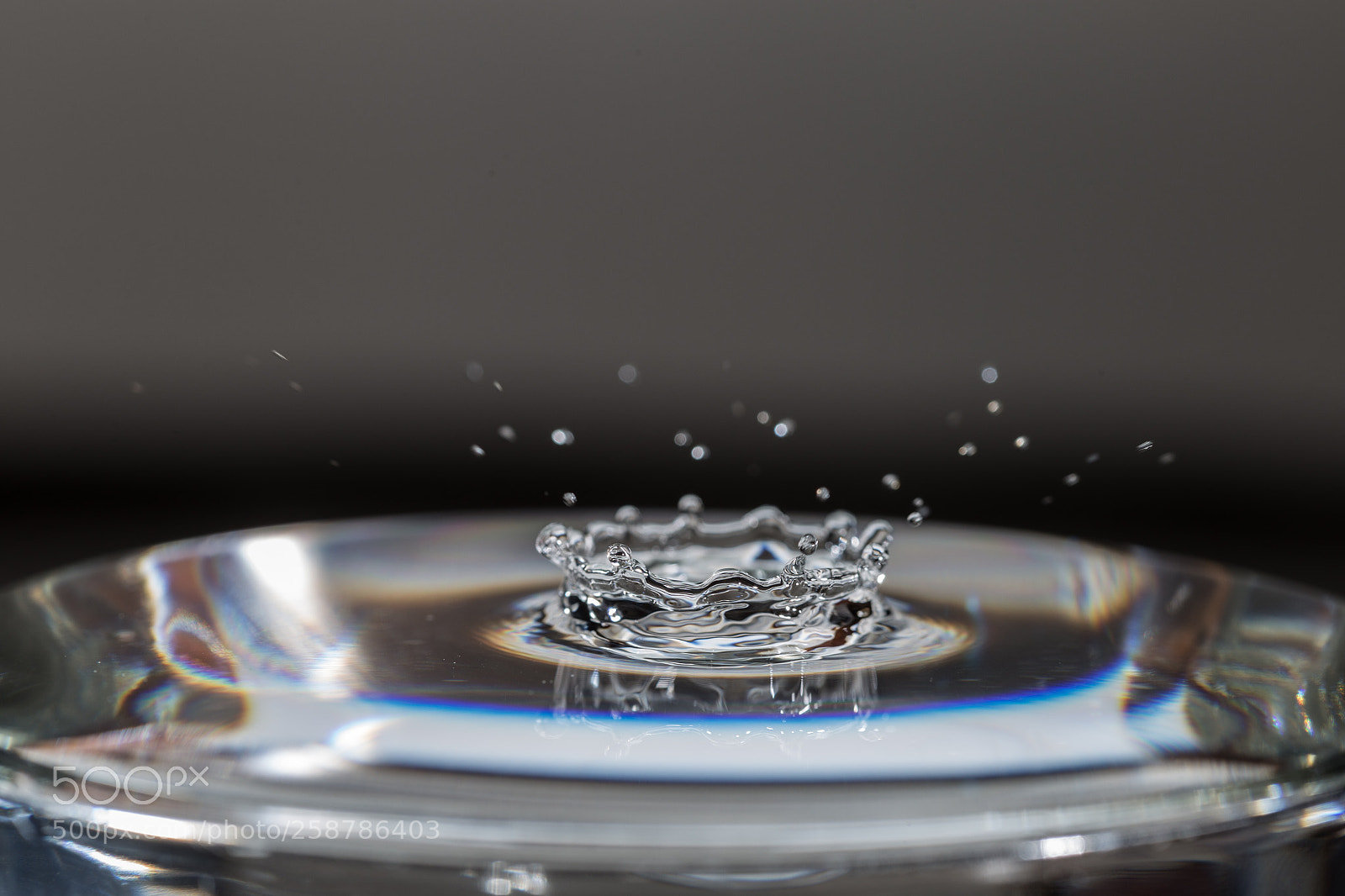 Canon EOS 6D sample photo. Water droplets photography