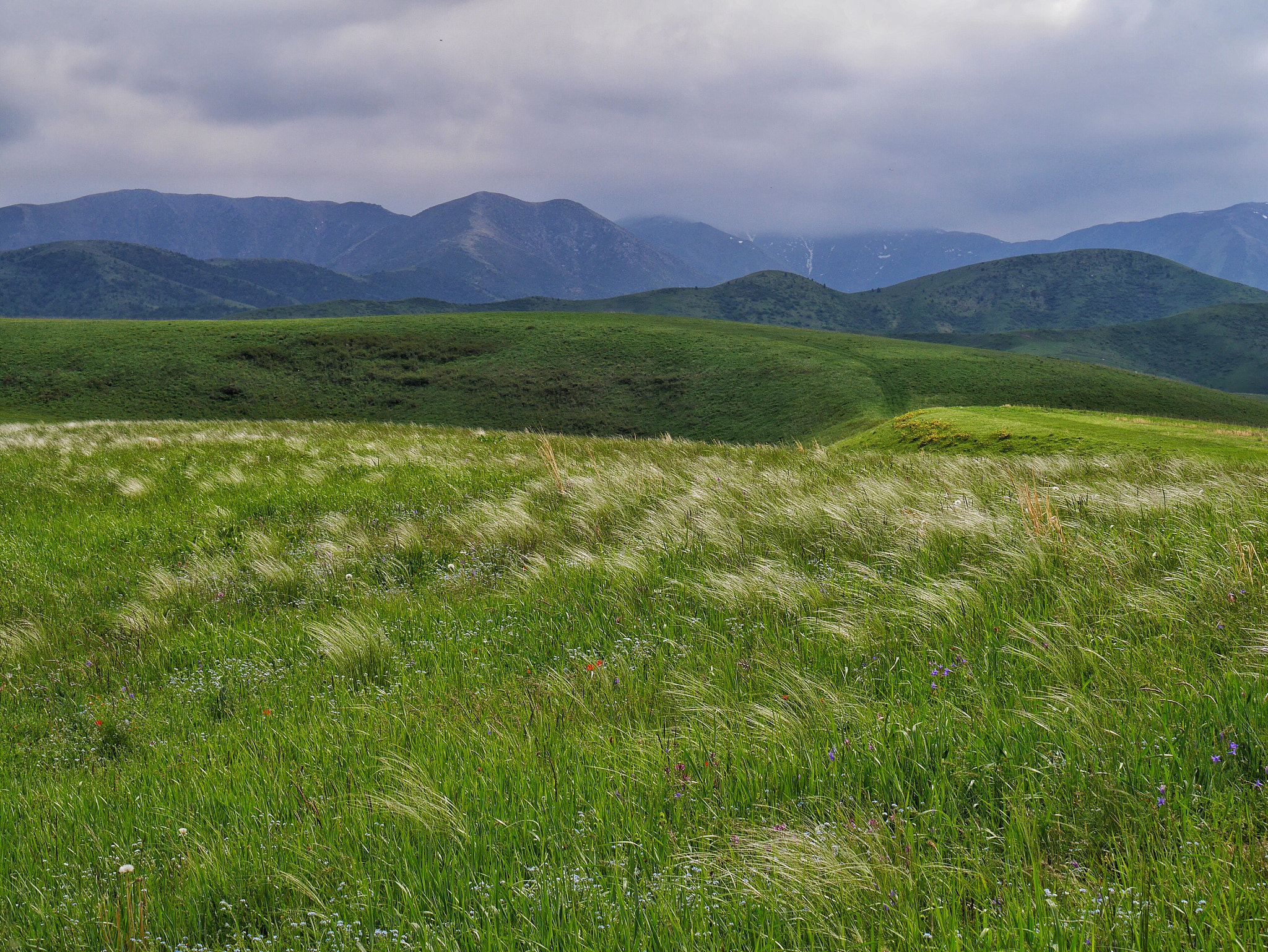Panasonic Lumix DMC-GM1 sample photo. Kyrgyzstan mountain photography