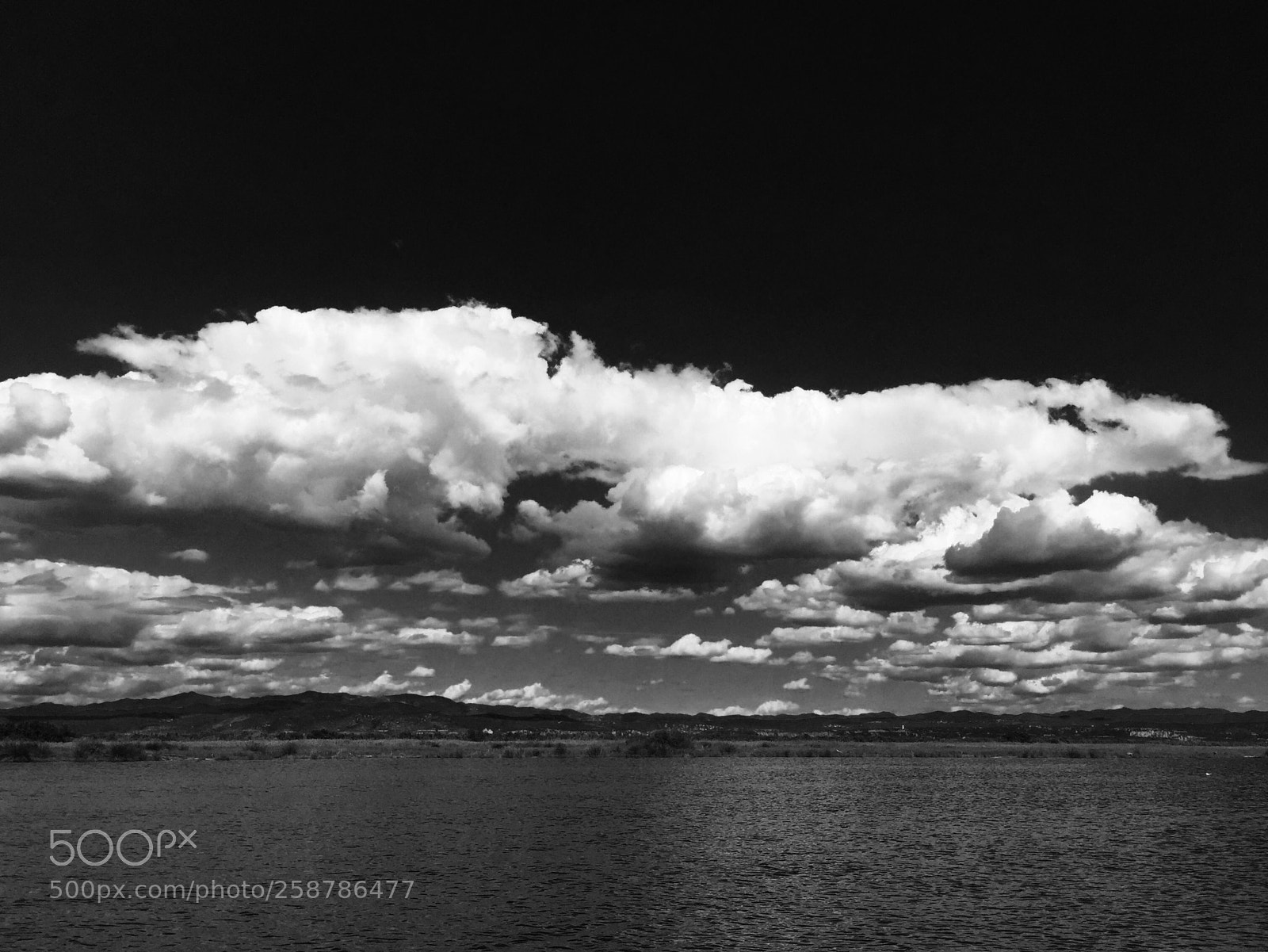 Apple iPhone 6 Plus sample photo. Natural reserve isola accona photography