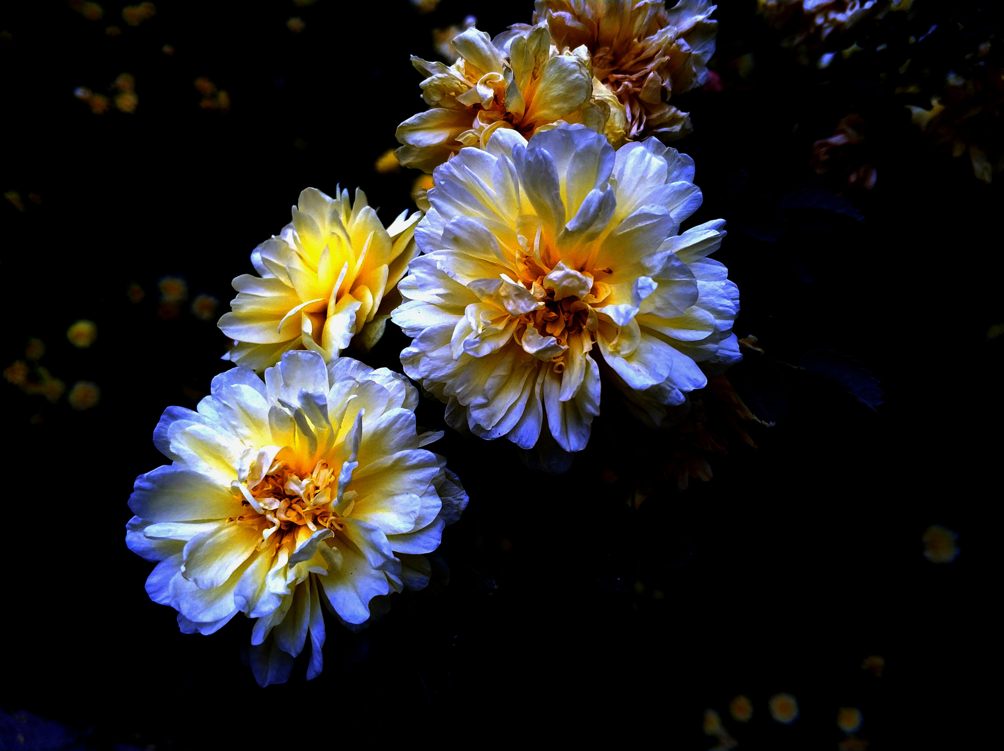 Xiaomi MI6 sample photo