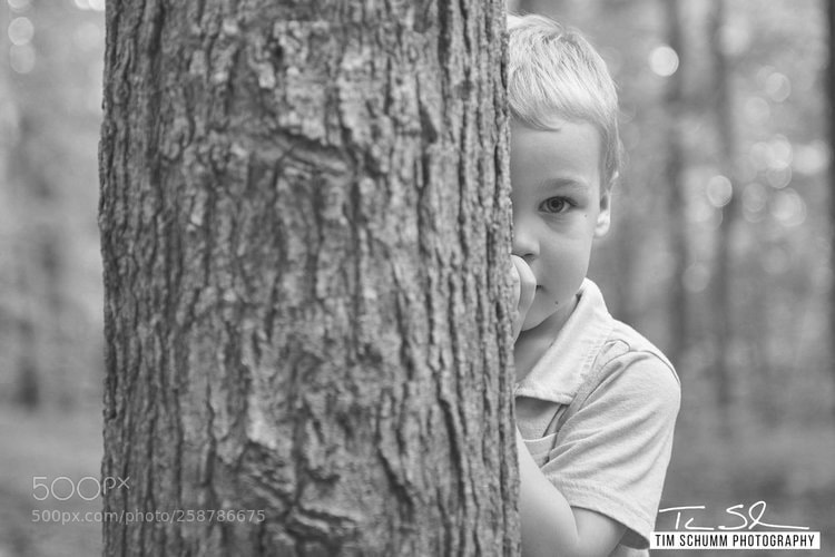Nikon D850 sample photo. Forest peeks photography