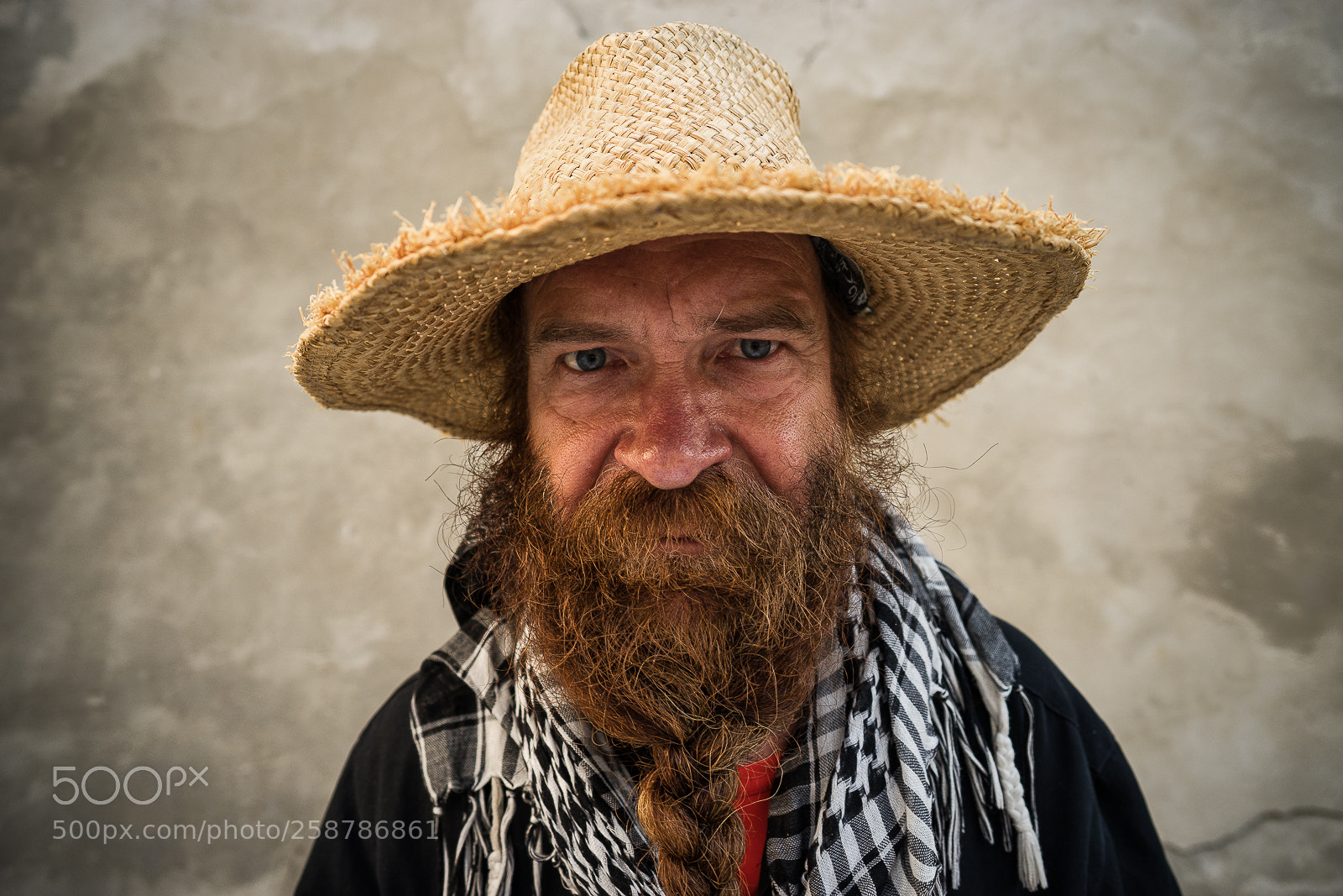 Sony a7 II sample photo. Plait. photography