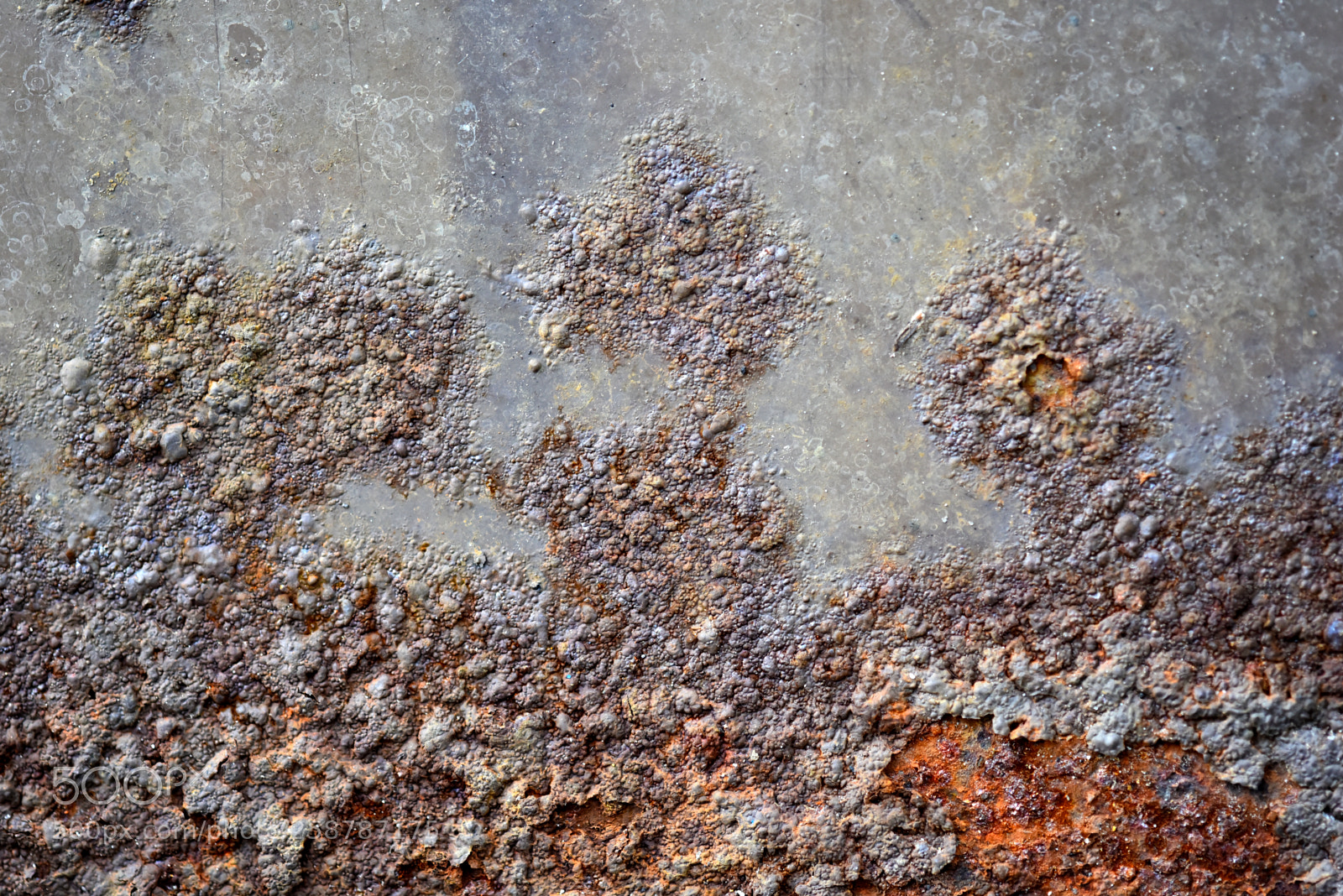 Nikon D750 sample photo. Decay 02 photography