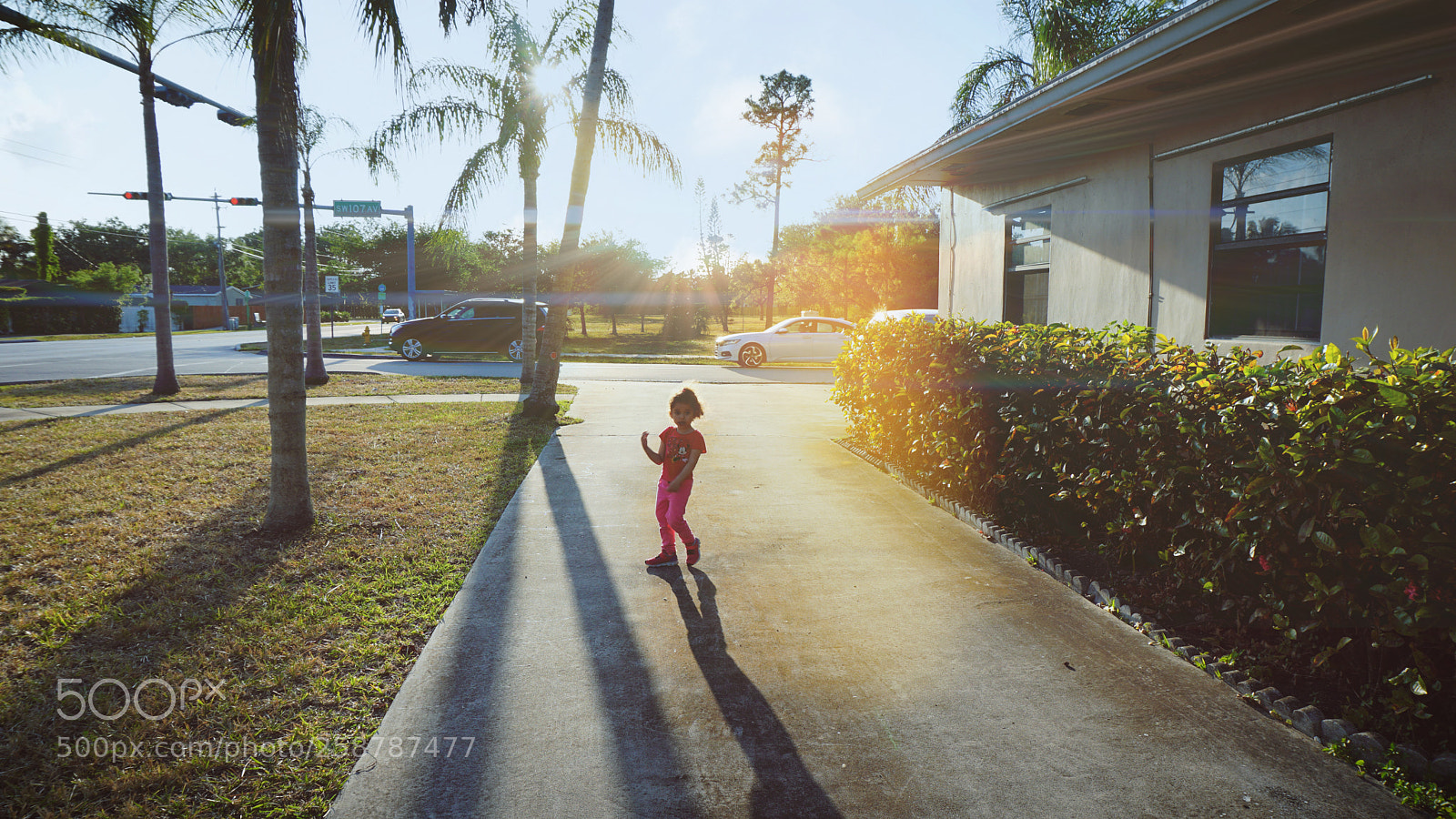 Sony a6300 sample photo. Dancing under the sun photography