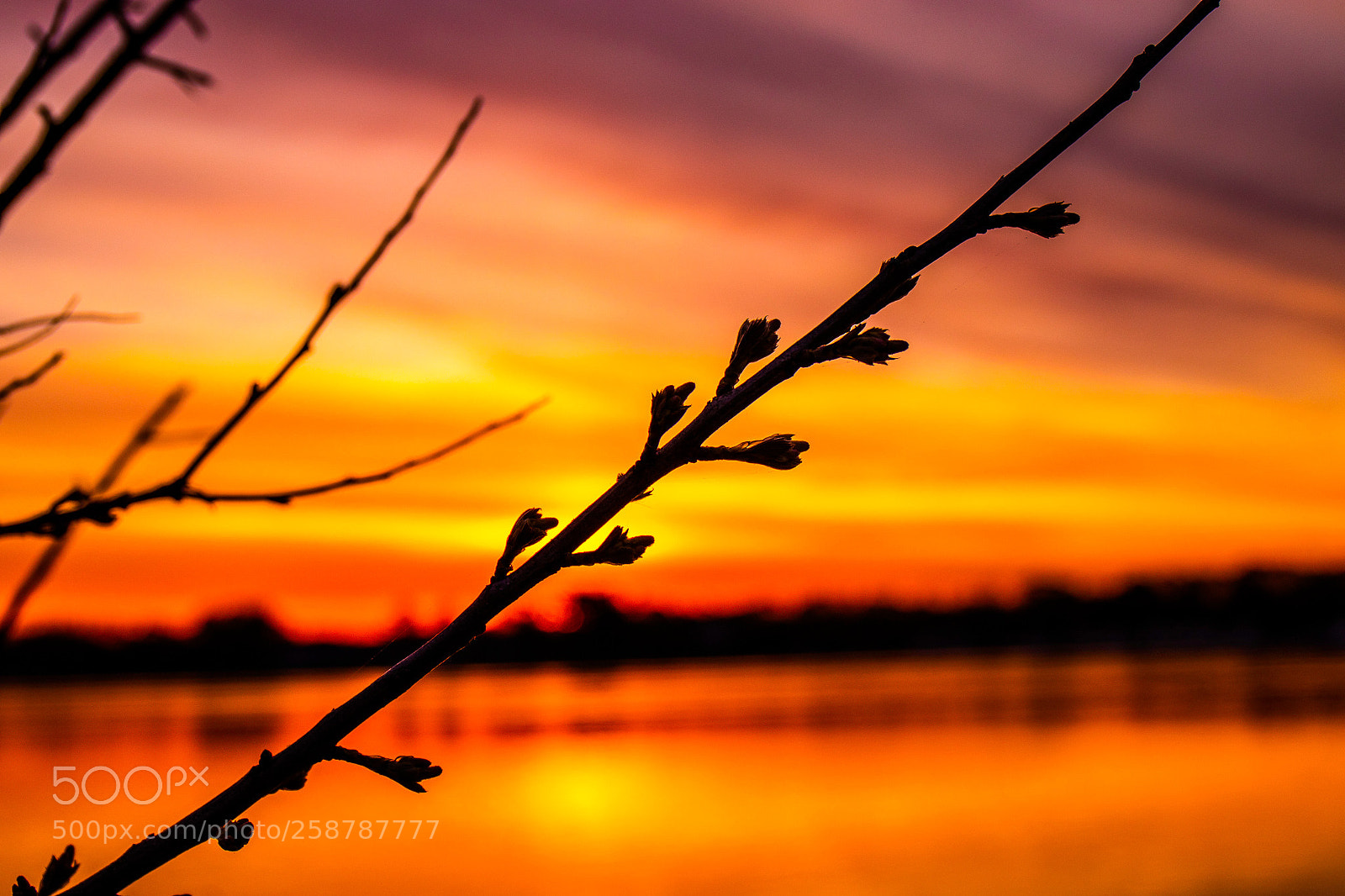 Canon EOS 80D sample photo. Sky fire. photography