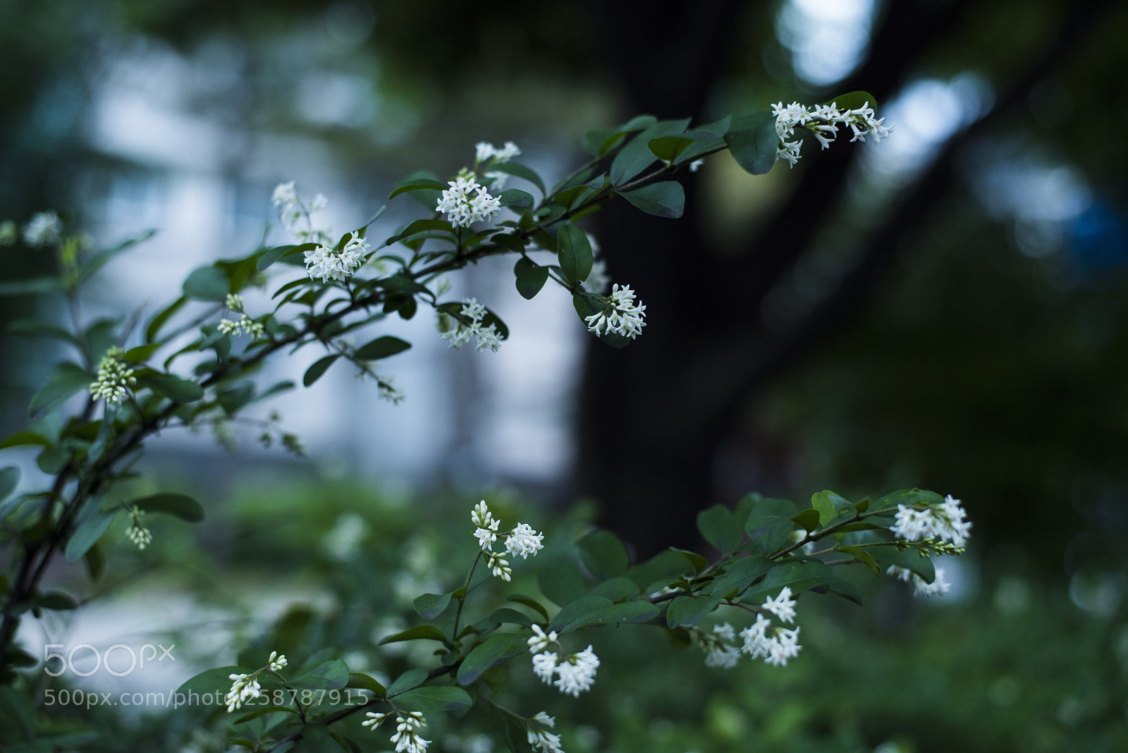 Nikon D810 sample photo. In a world   no.4 photography
