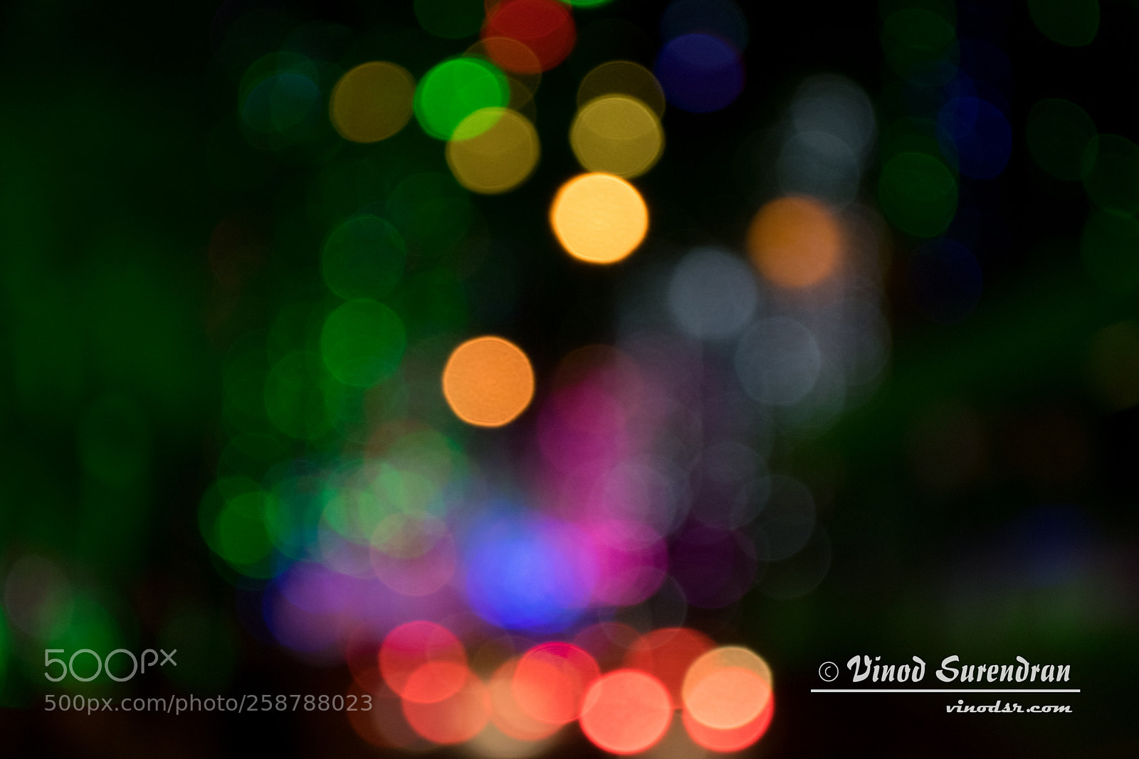 Nikon D5300 sample photo. Celebrations photography