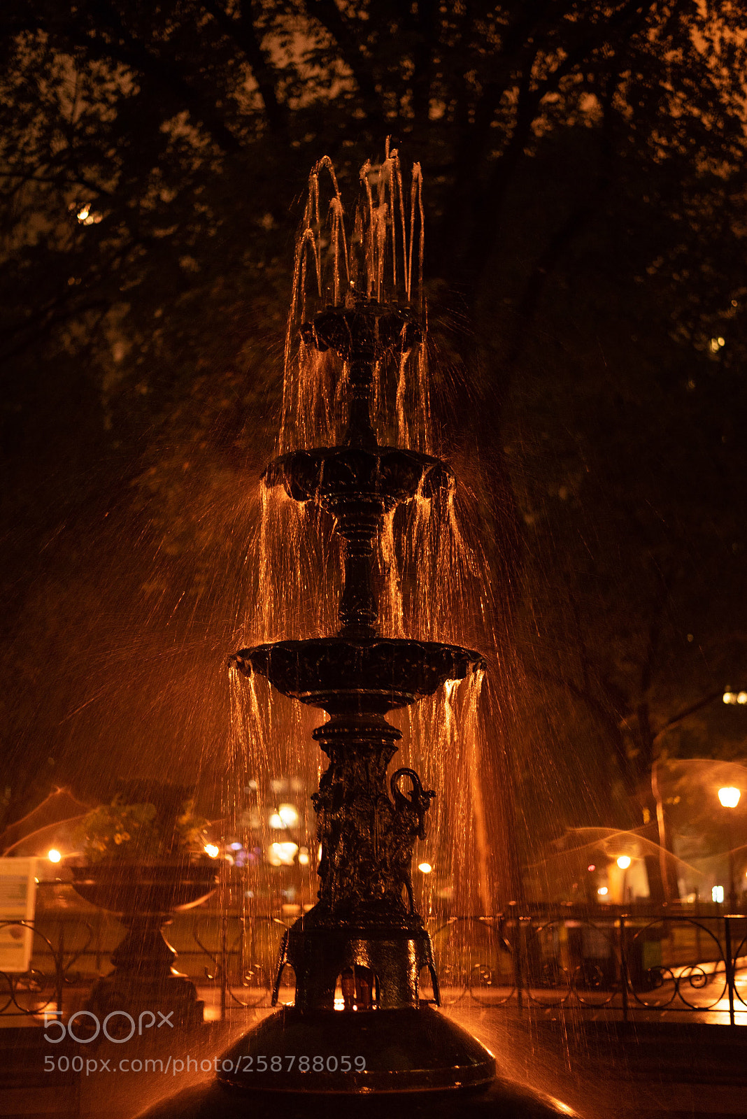 Nikon D750 sample photo. Night fountain photography