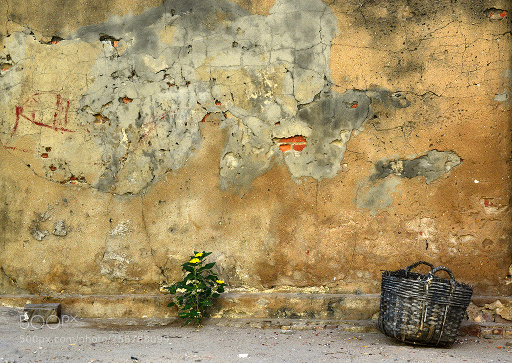 Nikon D800 sample photo. A world map photography