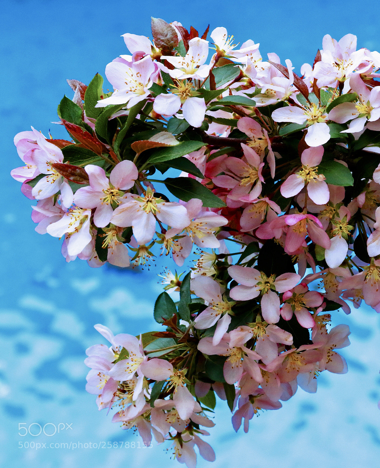 Canon EOS 7D Mark II sample photo. Colorful photography