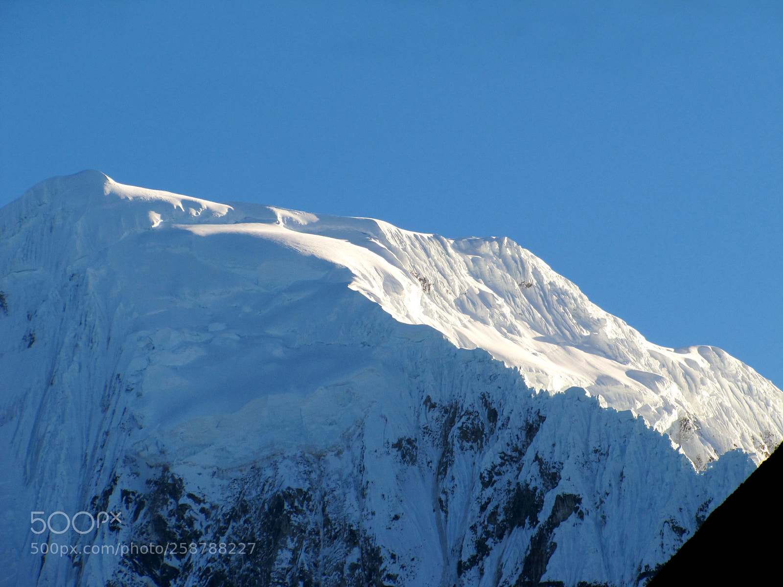 Canon PowerShot SX20 IS sample photo. Nieve perpetua photography
