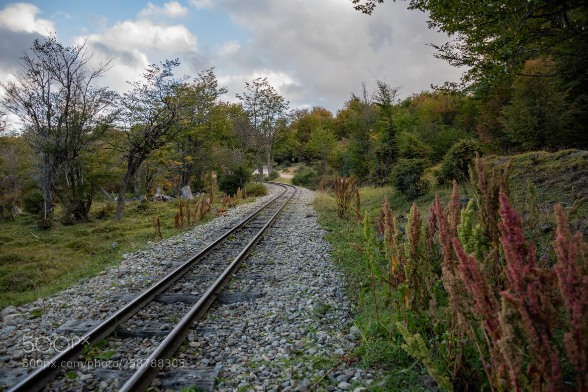 Nikon D7500 sample photo. Vias del antiguo tren photography