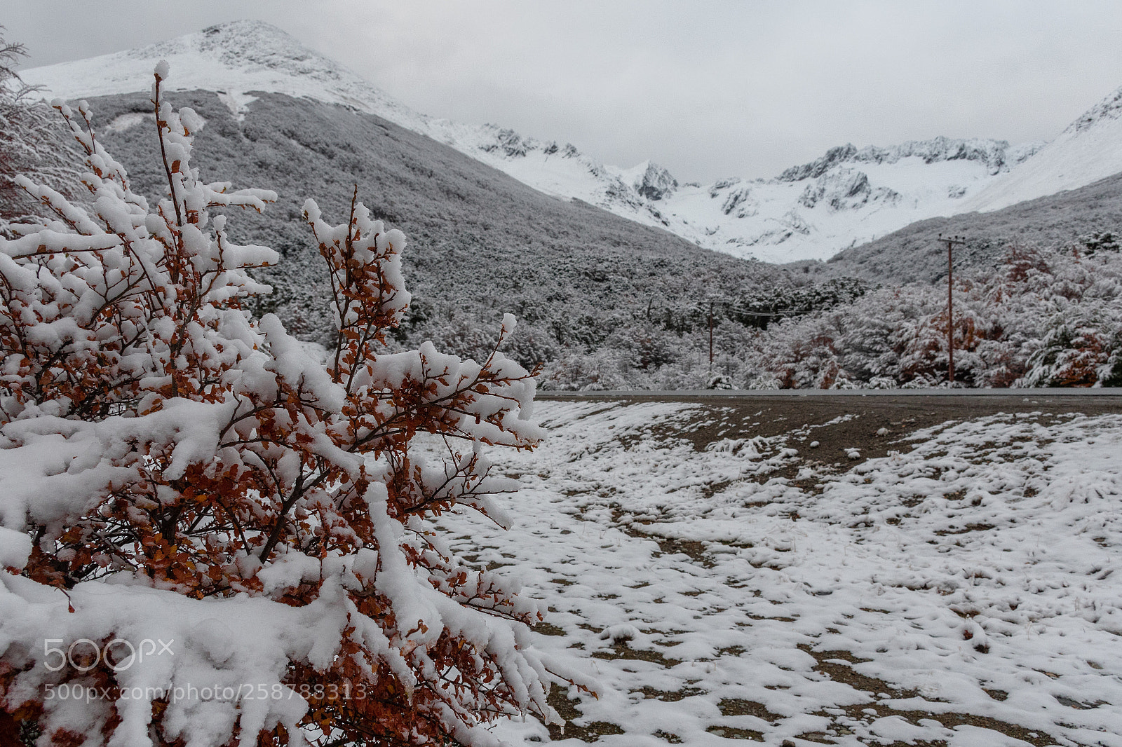 Nikon D7500 sample photo. Nevadita camino al glaciar photography
