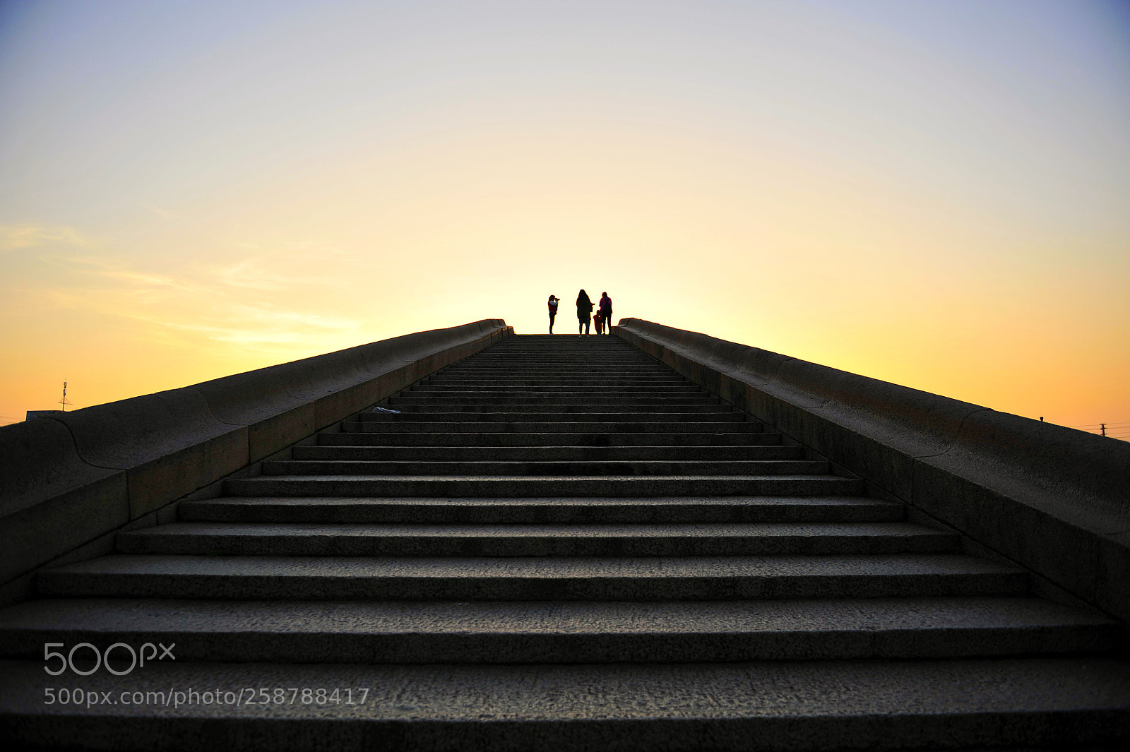 Nikon D700 sample photo. Untitled photography