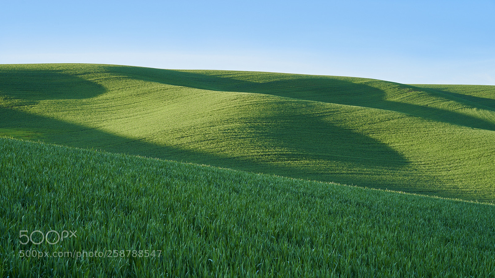 Sony a7 III sample photo. Rolling fields photography