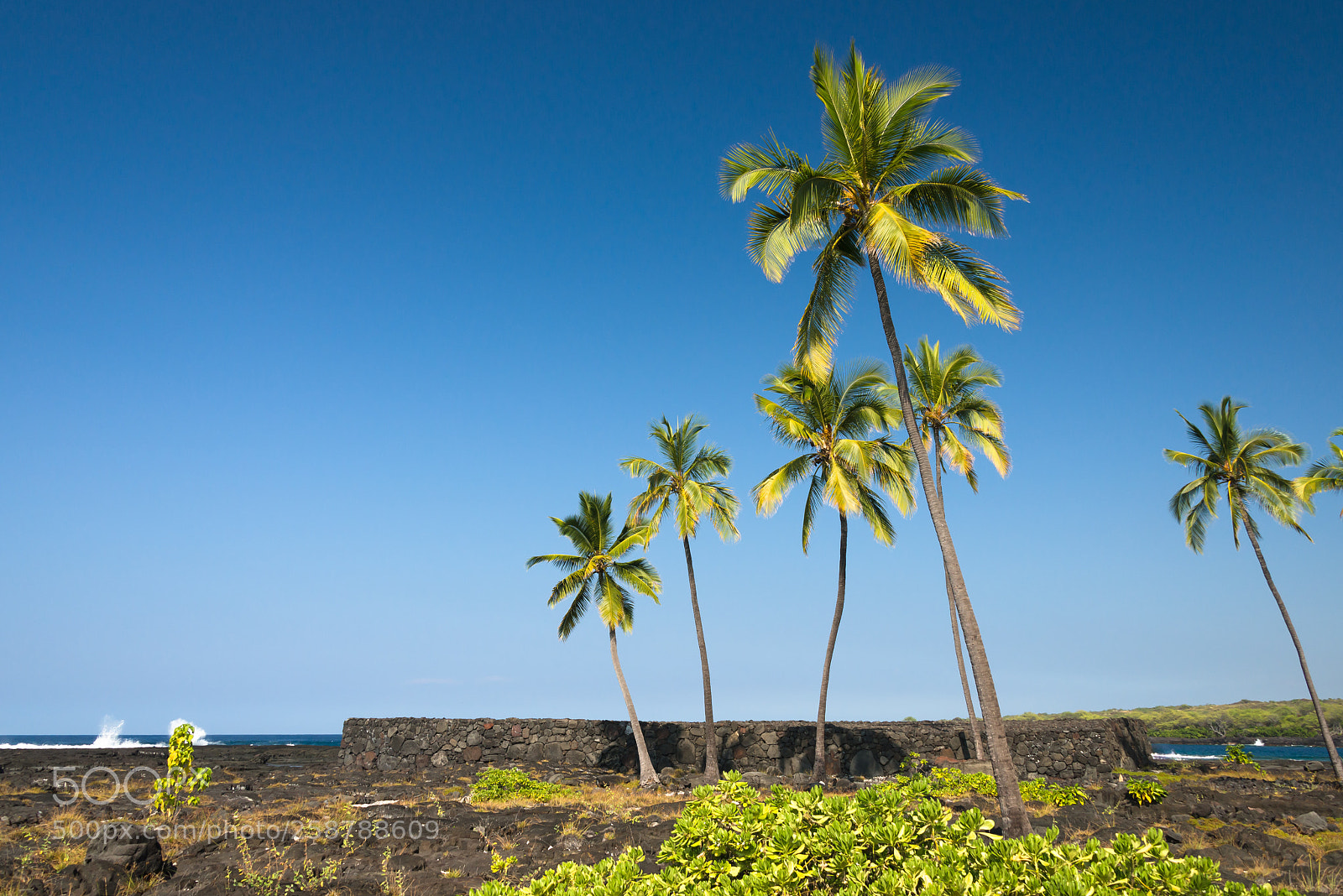 Nikon D600 sample photo. Pu'uhonua o hōnaunau photography