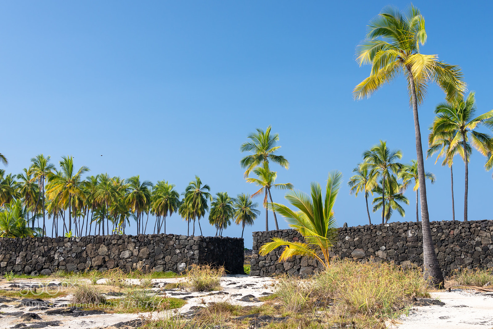 Nikon D600 sample photo. Pu'uhonua o hōnaunau photography