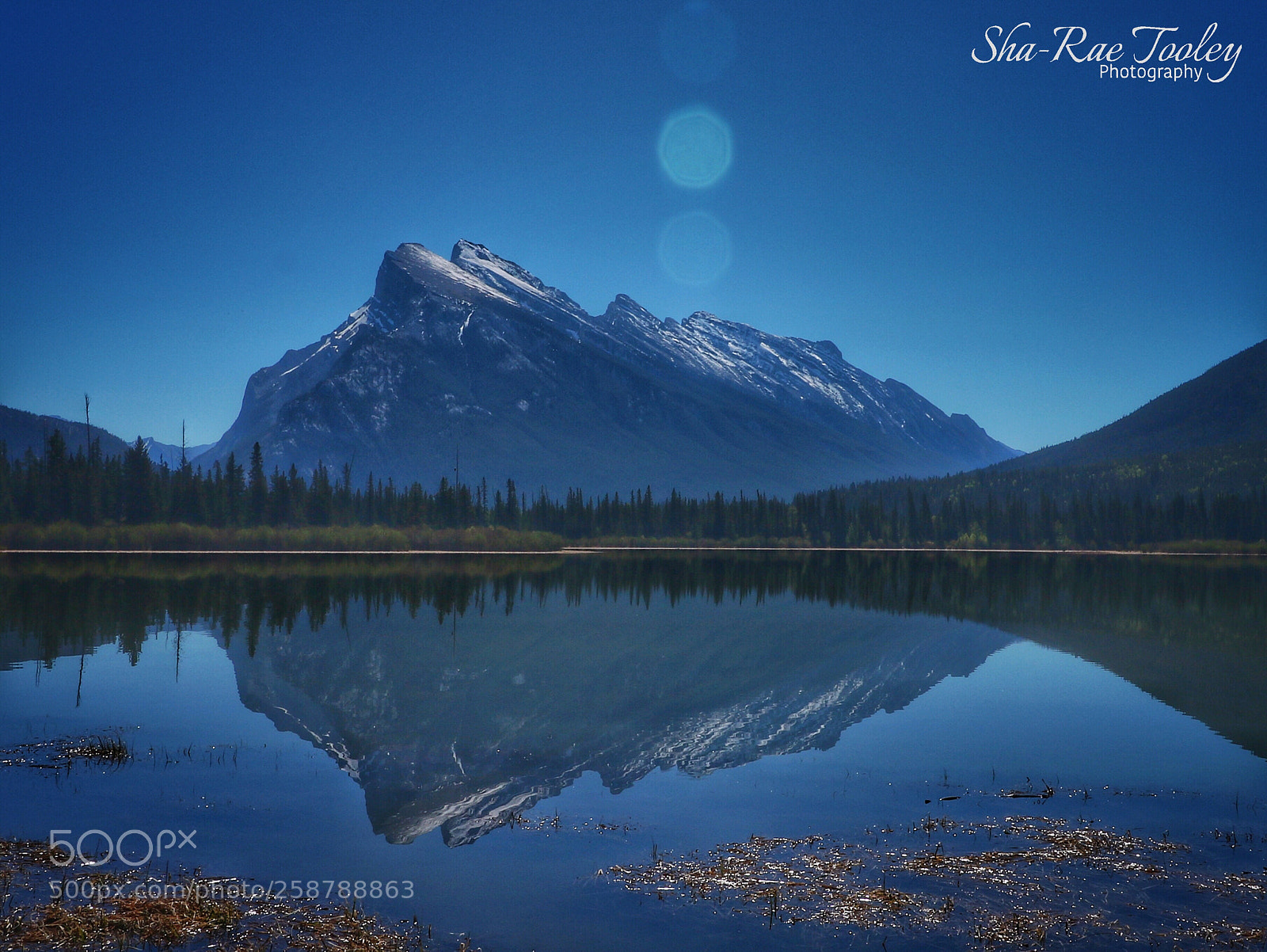 Canon EOS 750D (EOS Rebel T6i / EOS Kiss X8i) sample photo. Mount rundle and vermillion photography